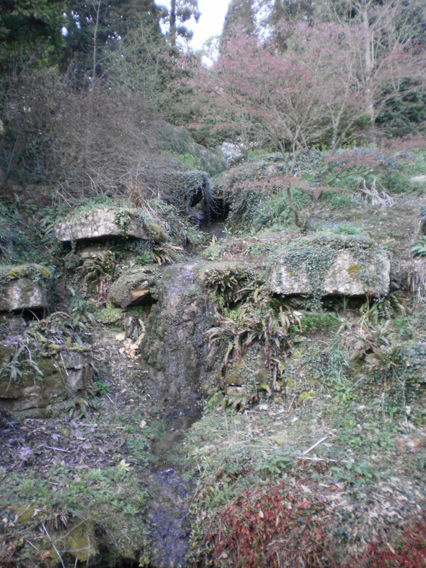 Batsford Arboretum