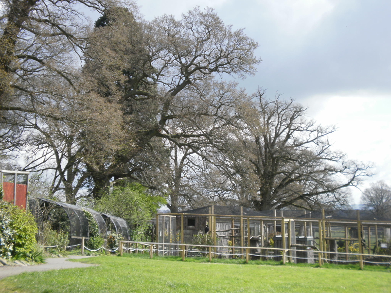 Cotswold Falconry Centre