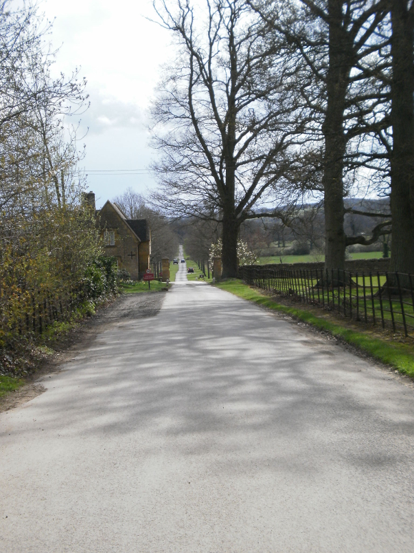 Walk Back to Bus