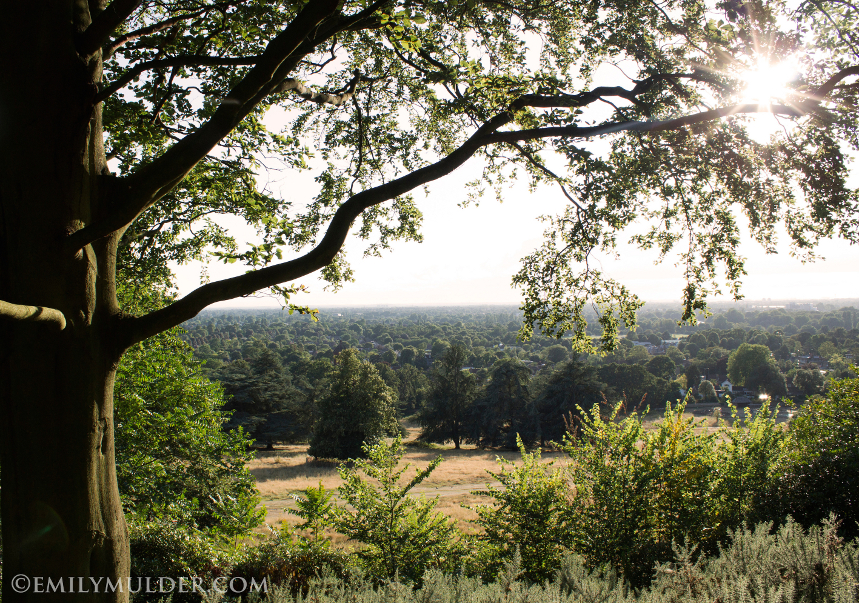 Views From a Vista Near Richmond Gate