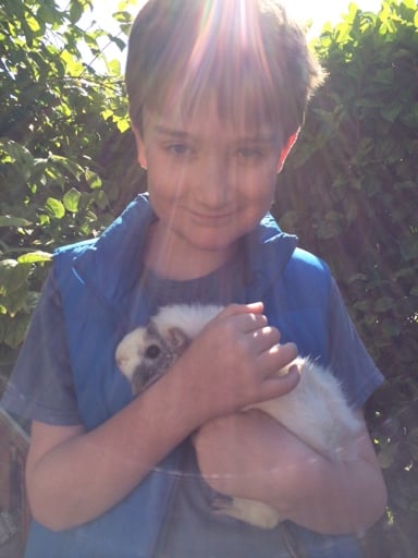 pigggy and milo