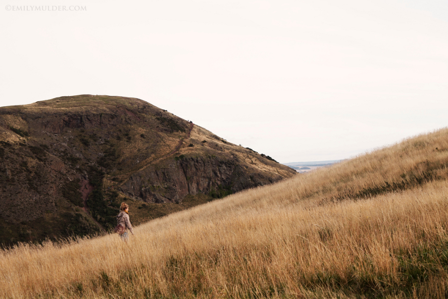 Hiker in the Tall Grass