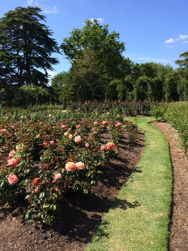 Formal Gardens and Natural Habitat Coexist at Blenheim