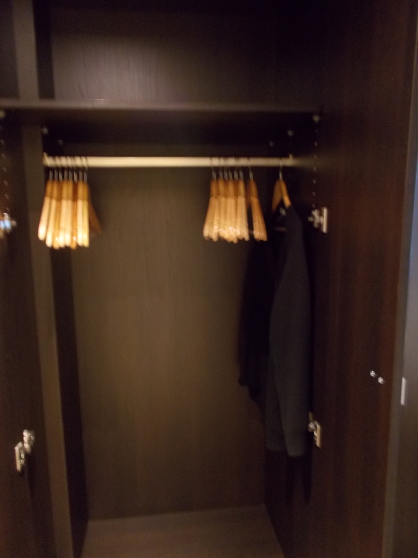 Large Closet - Hanging Space Plus Shelves for Clothes and a Safe