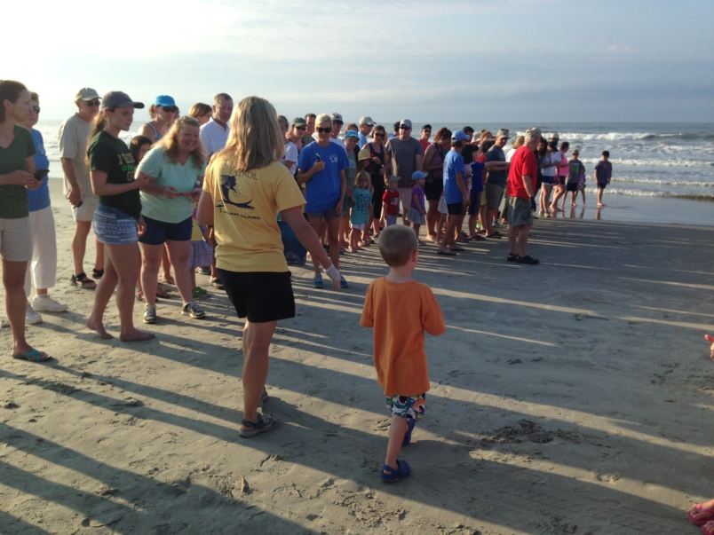 Lining up Kiawah Island