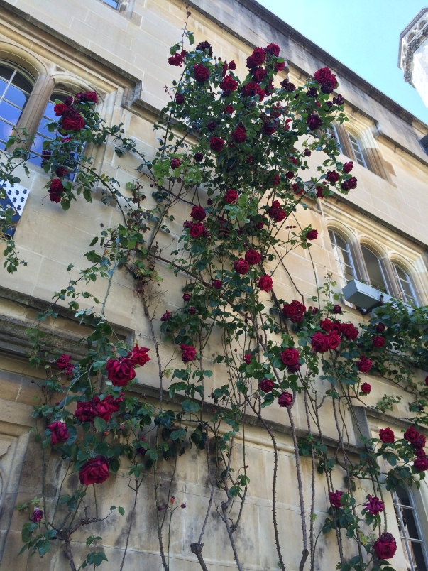Oxford Colleges 3