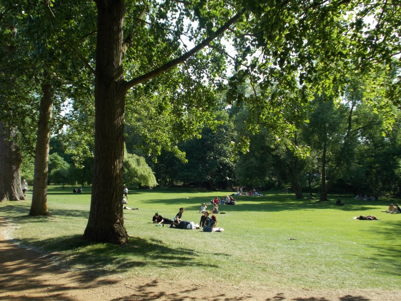 Perfect Picnic Spot