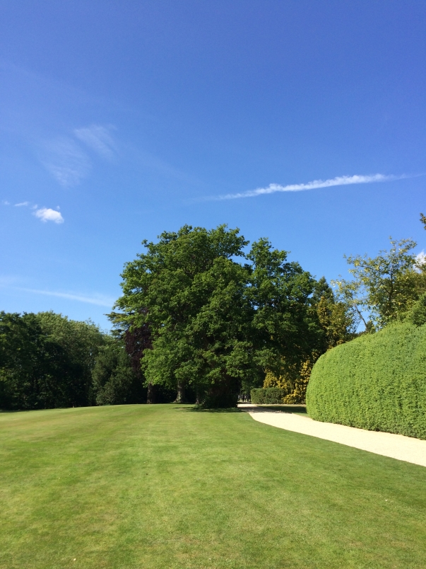 Tranquil Paths