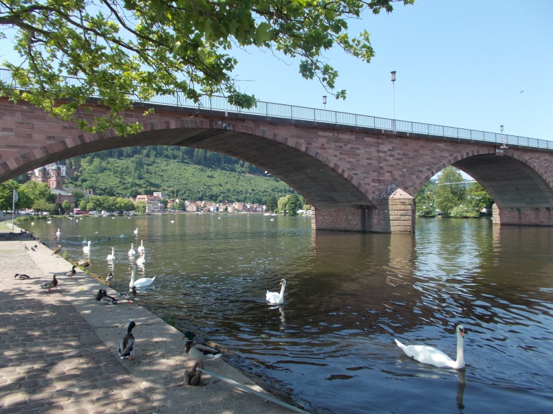 Riverside Walk Miltenberg