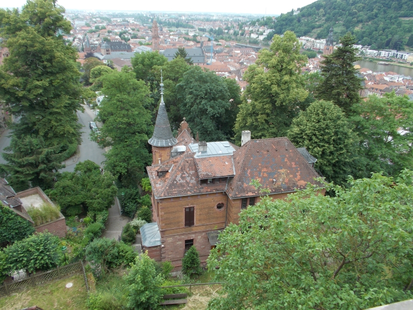 View from Heidelberg Castle