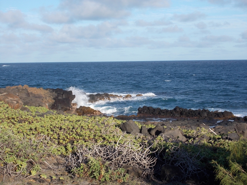Destination Aloha Sweepstakes Editorial