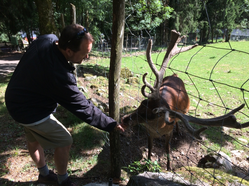 Feeding the Animals