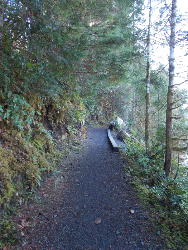 Lakeside Trail Lake Quinault Lodge