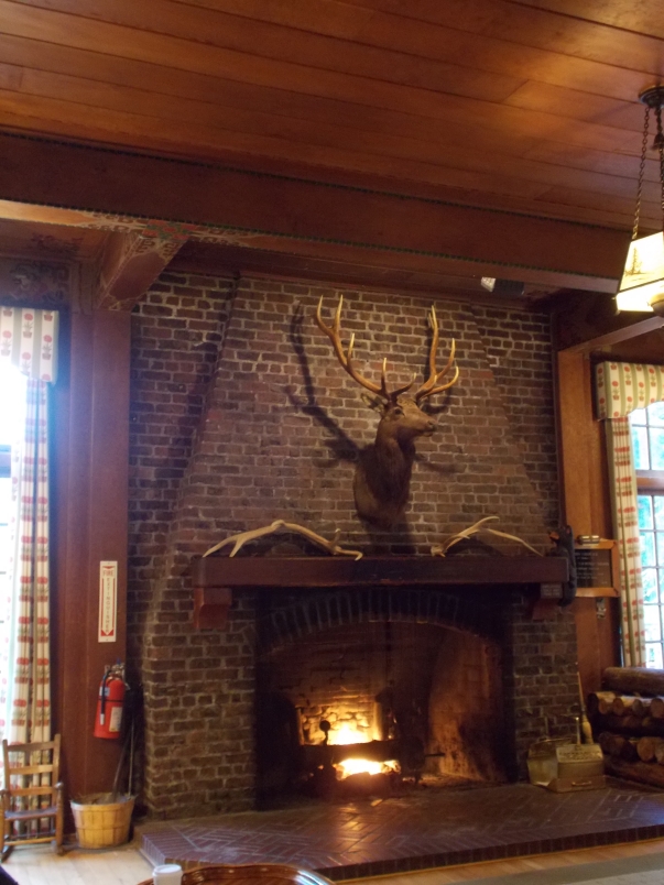 National Park Lodge Ambience Lake Quinault2