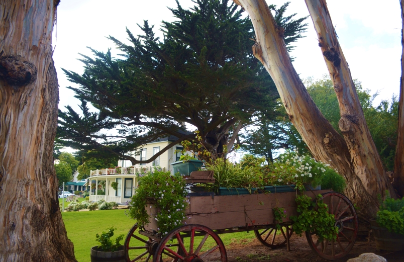 Mission Ranch Wagon with view of The Farmhouse