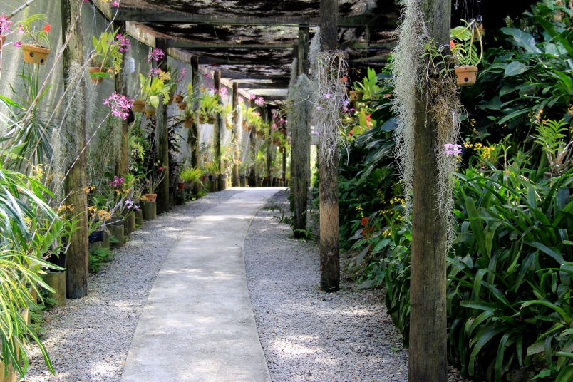 Sleeping Giant green house