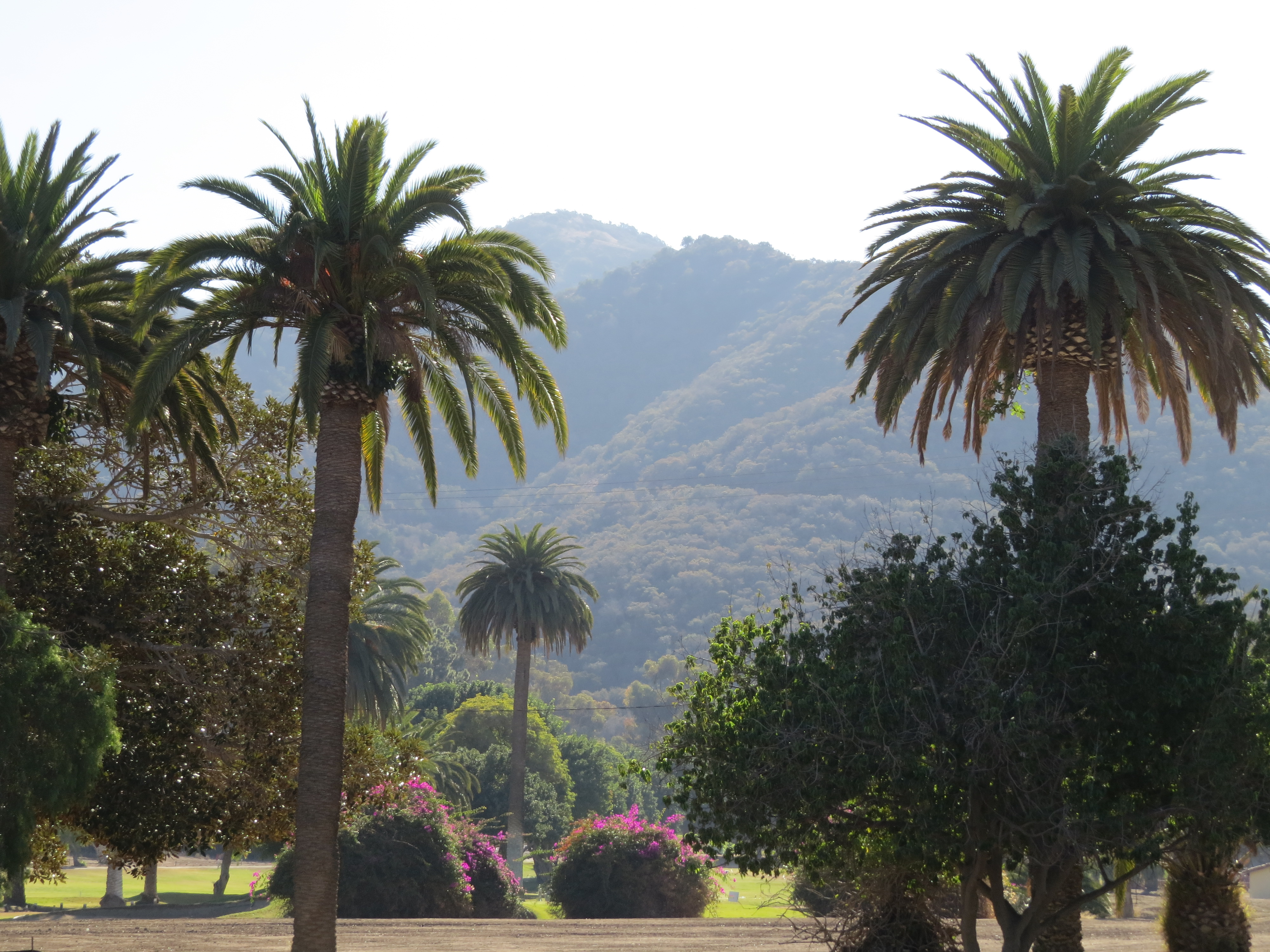 Golf Course - Catalina Island