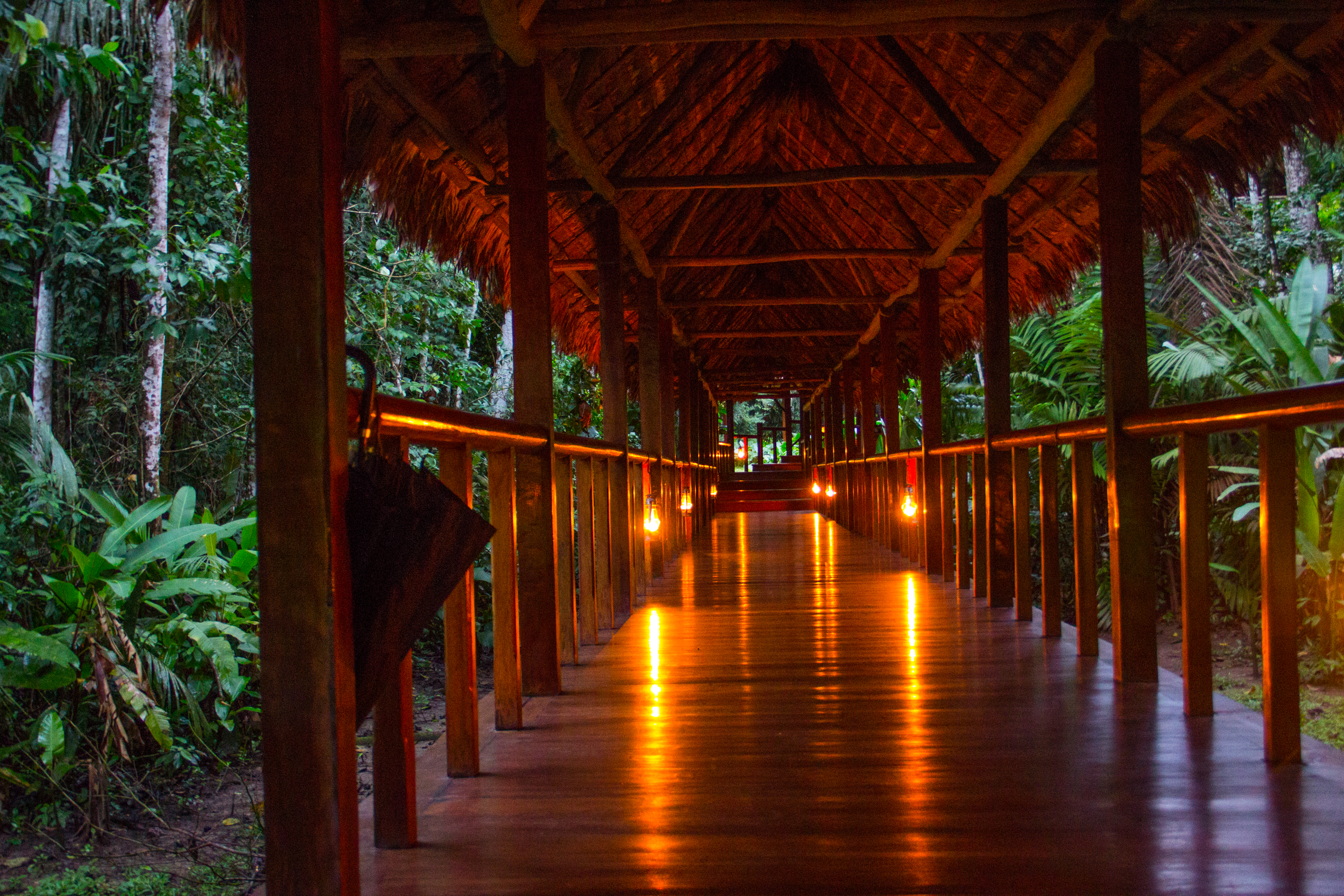 Night time lanterns at Inkaterra Reserva Amazonica