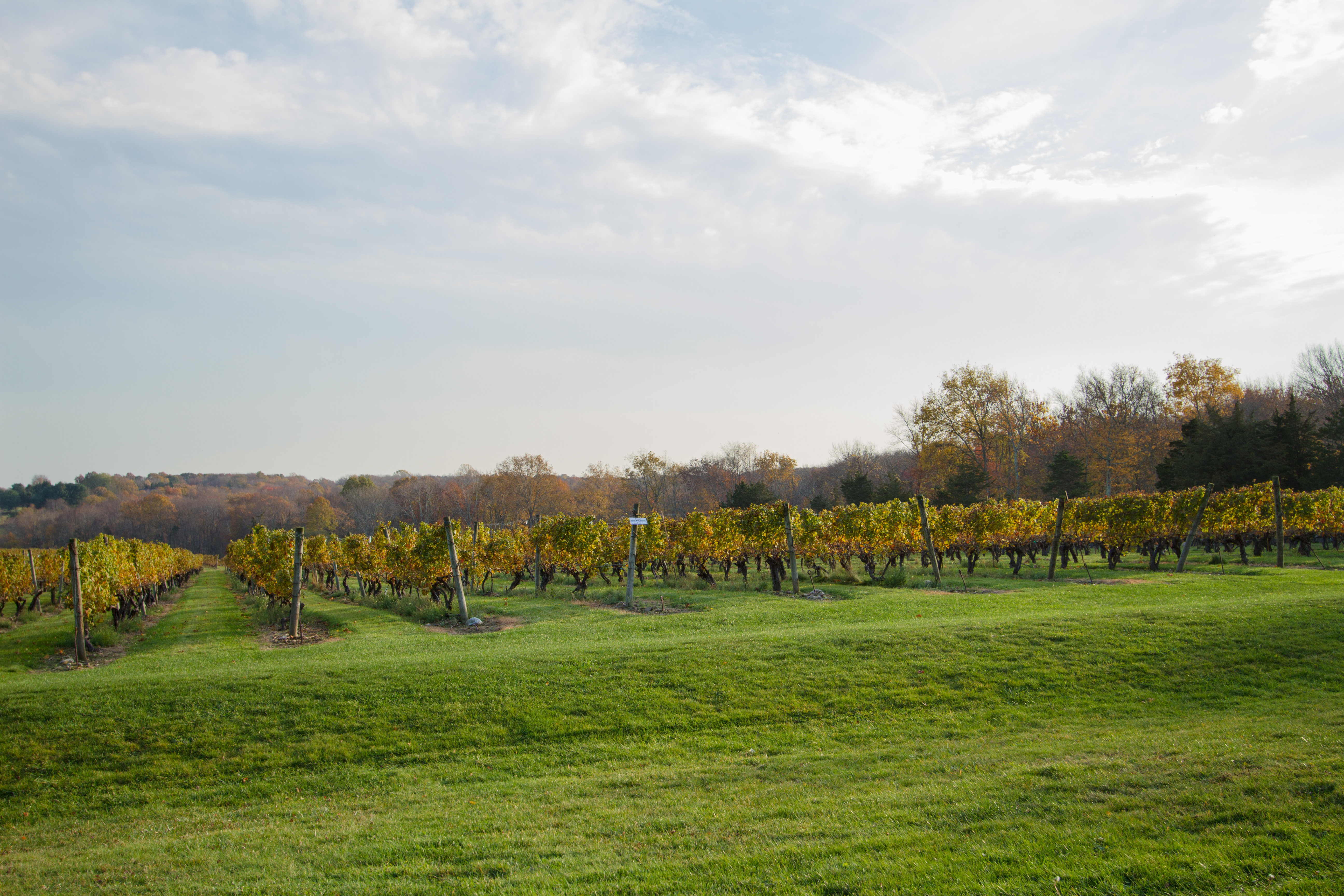 Stonington Vineyards on the Coastal Wine Trail