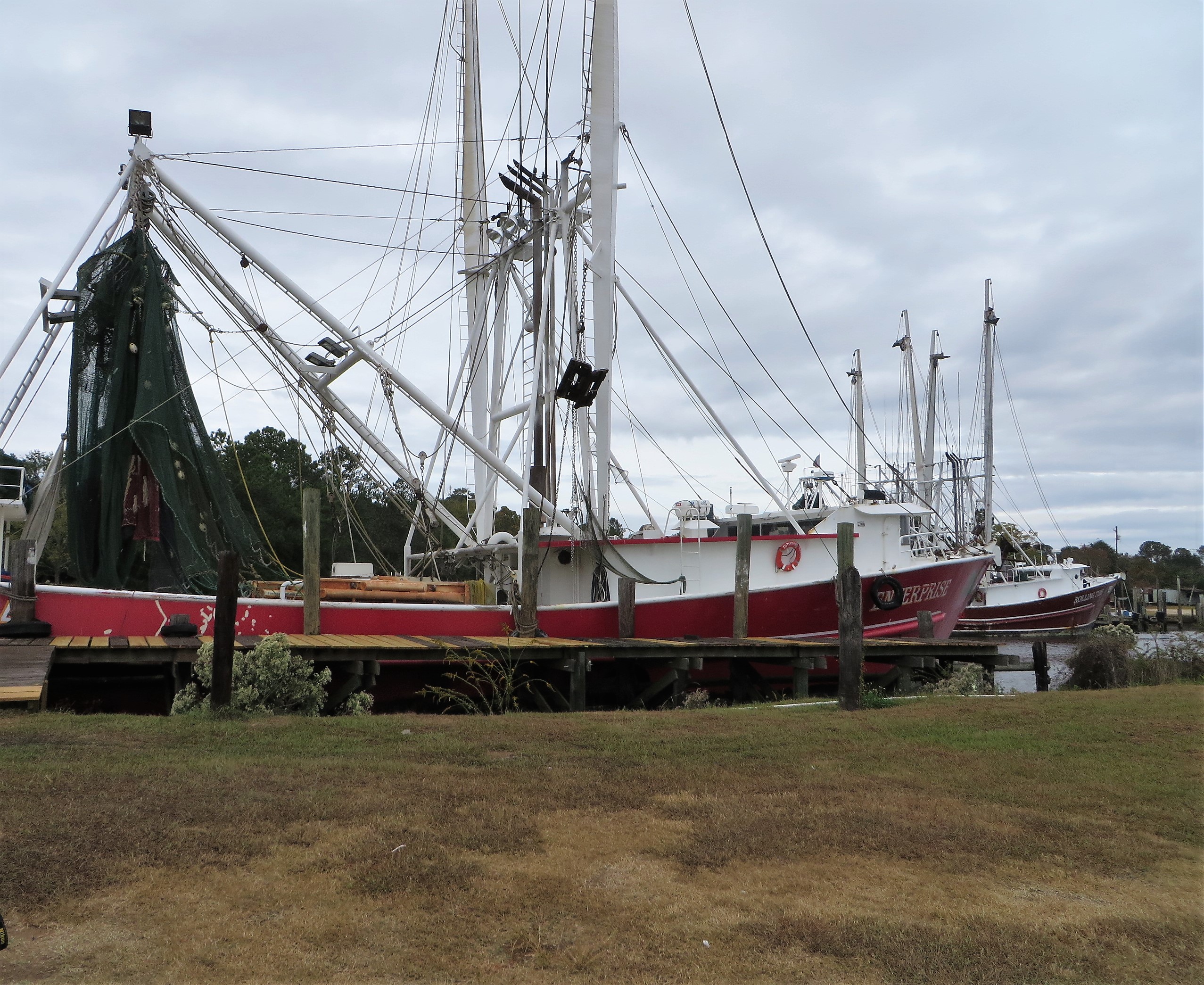 A shrimp boat has just delivered a fresh catch - Bayou la Batre