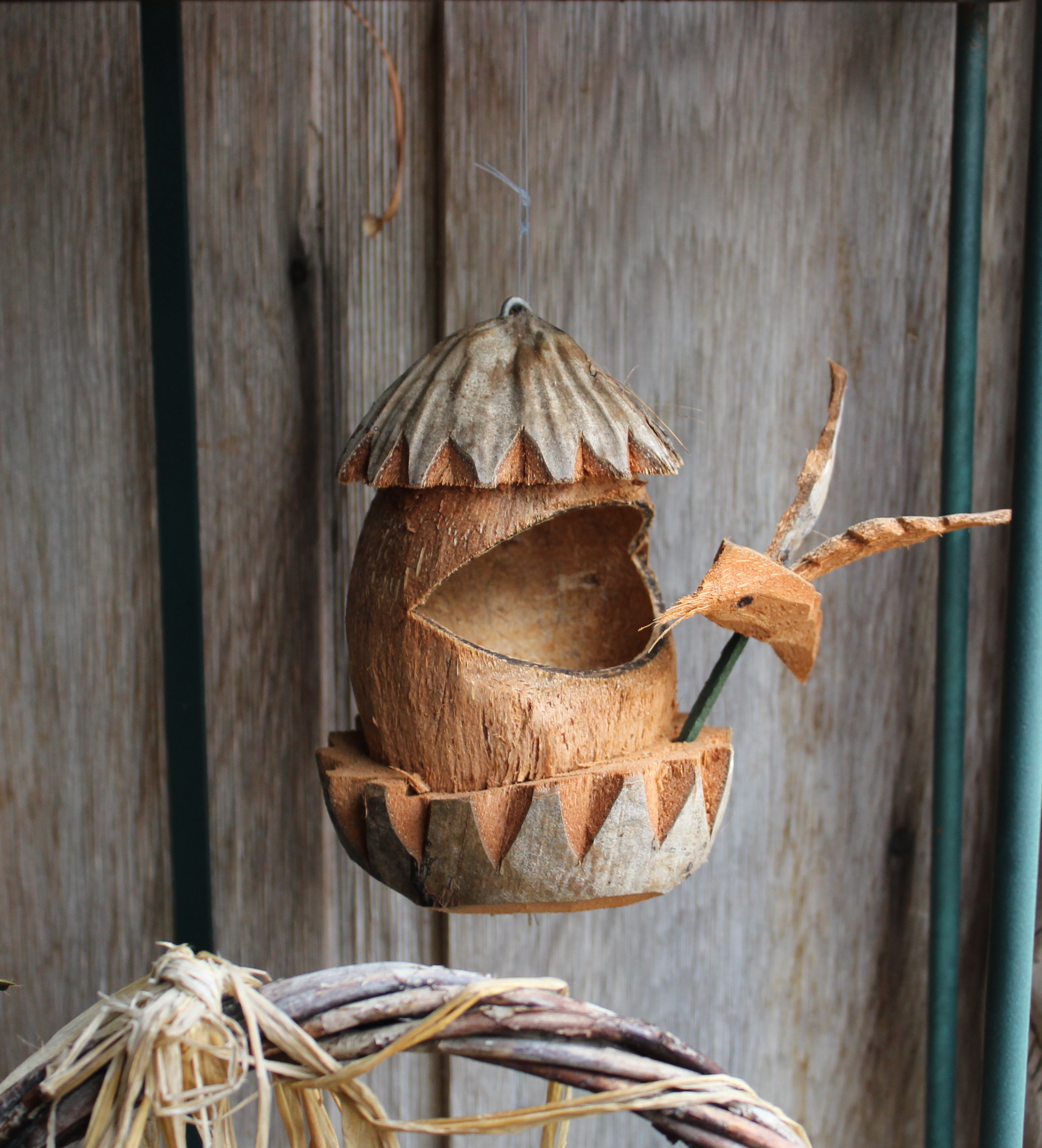 Birdman's Hummingbird from artist in Barbados