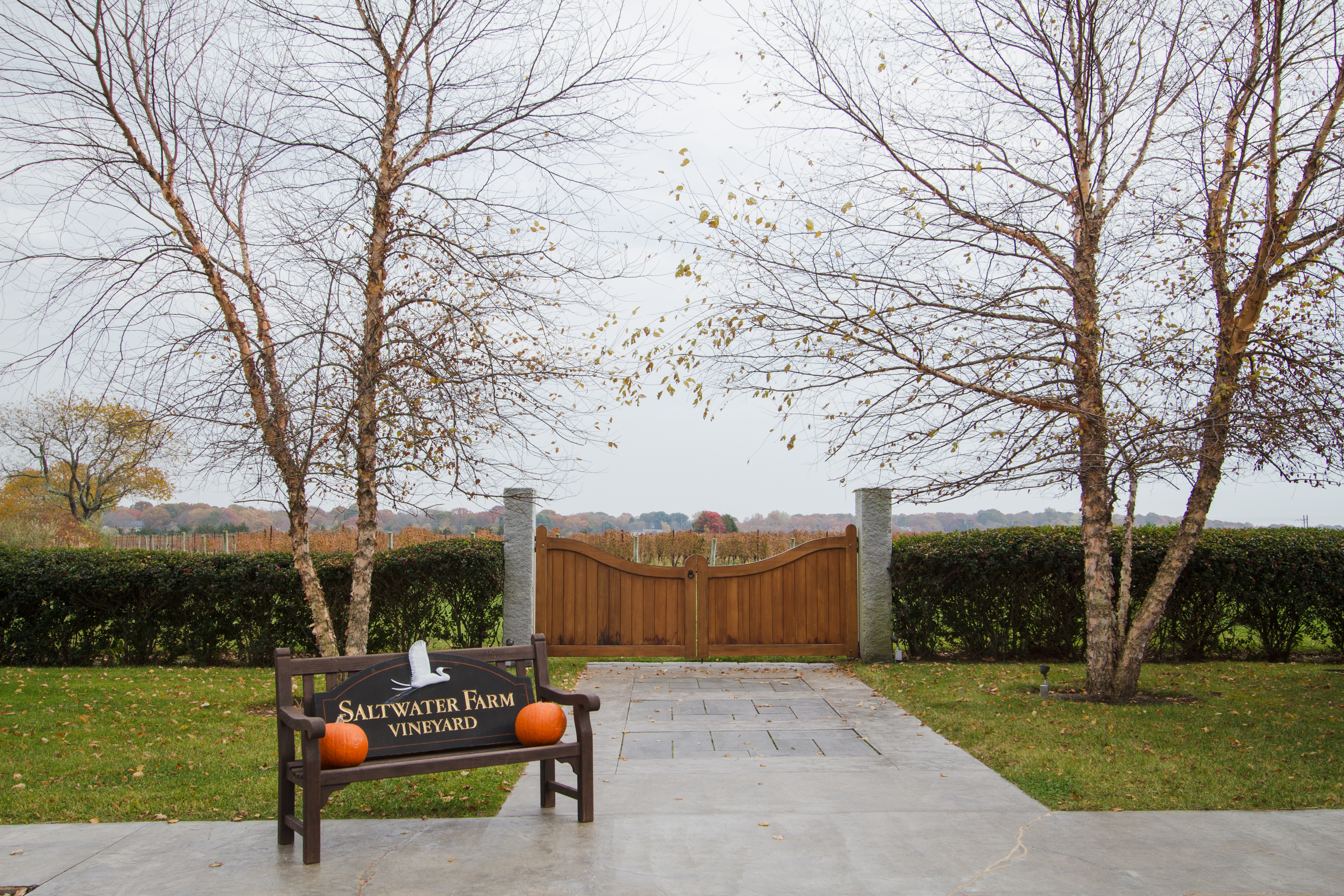 Entrance of Saltwater Farm Vineyards The Coastal Wine Trail
