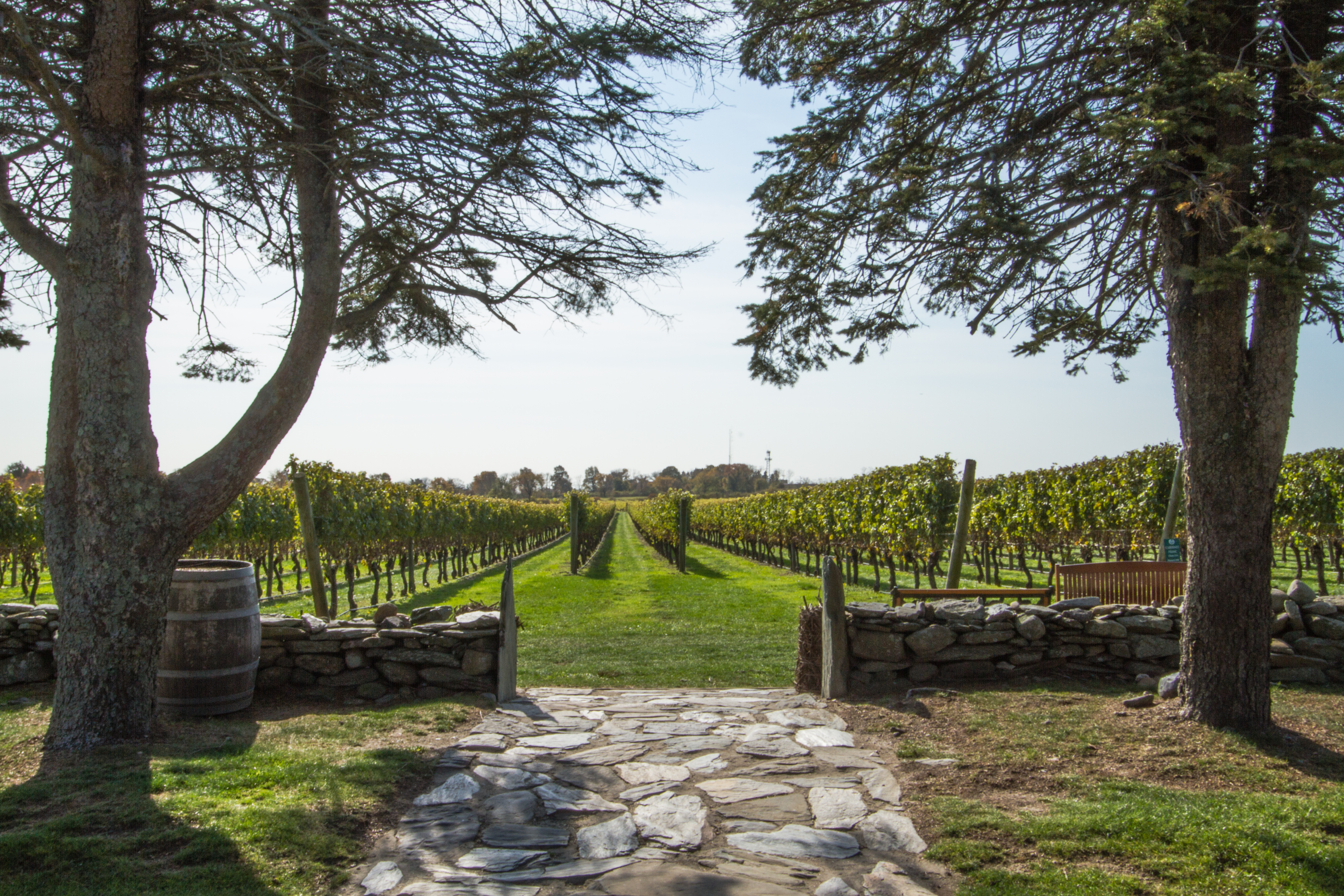 Entrance to Newport Vineyards