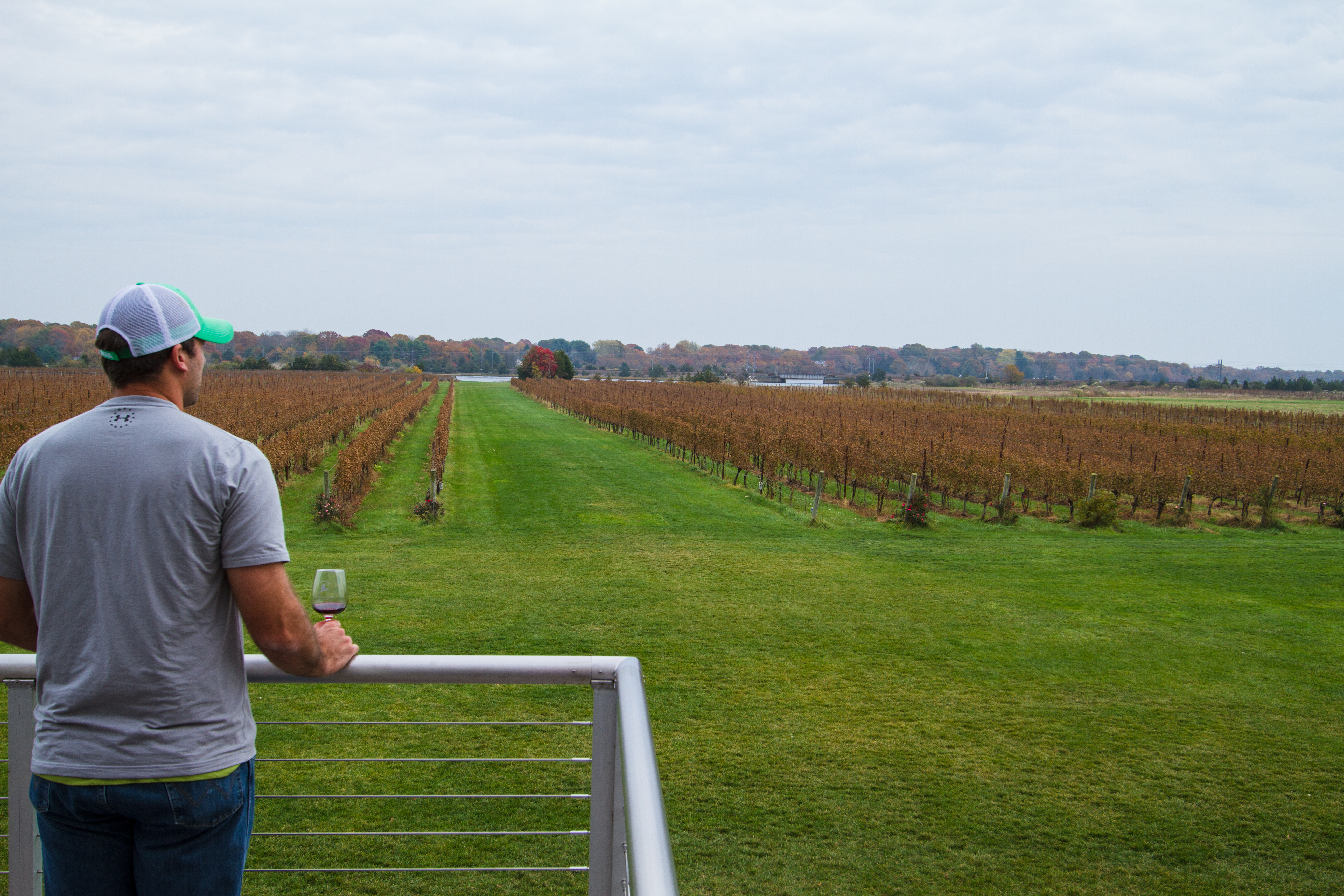 From the Loft and Deck of Saltwater Farm Vineyards