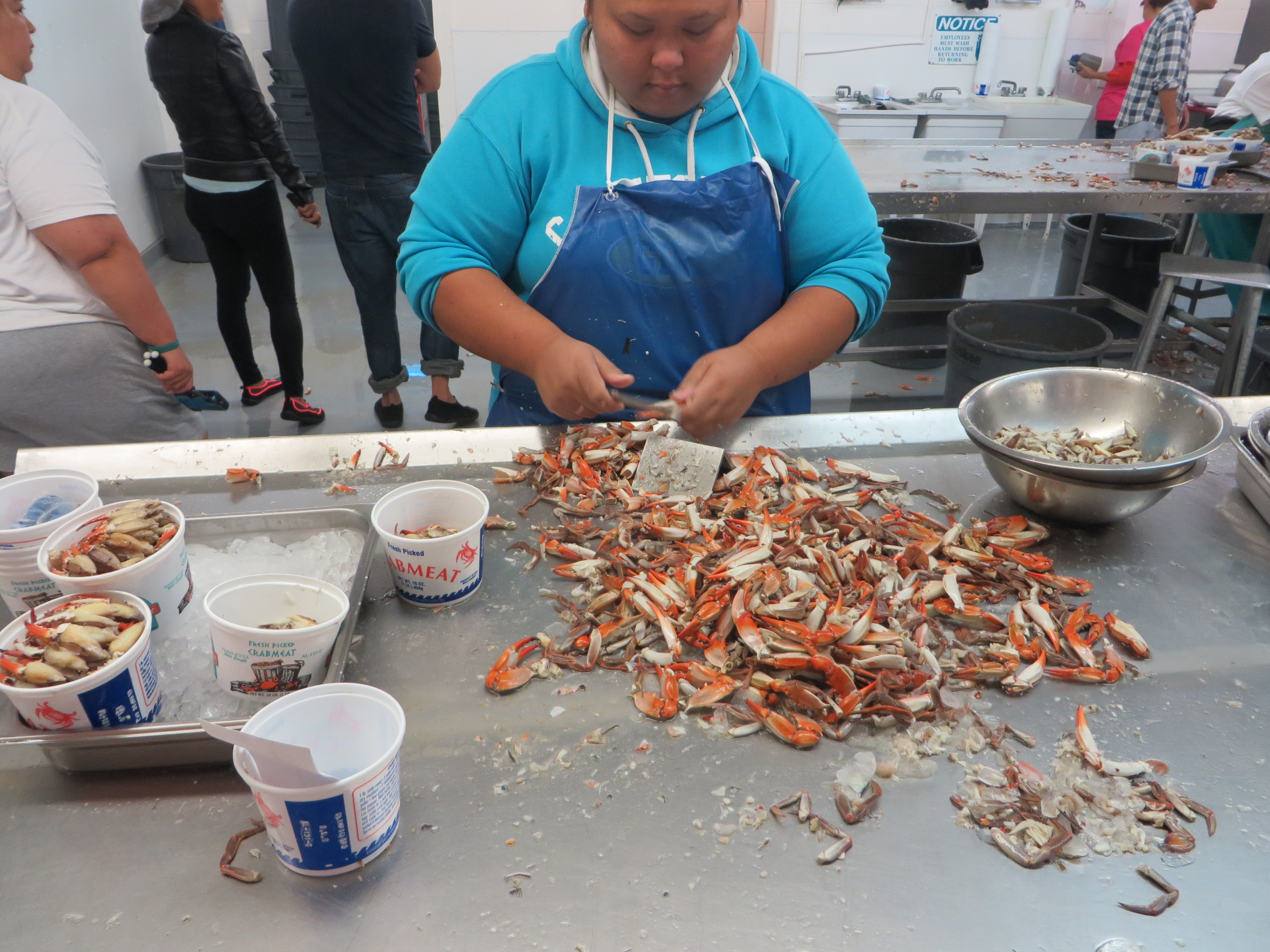 Abundant seafood in Bayou La Batre