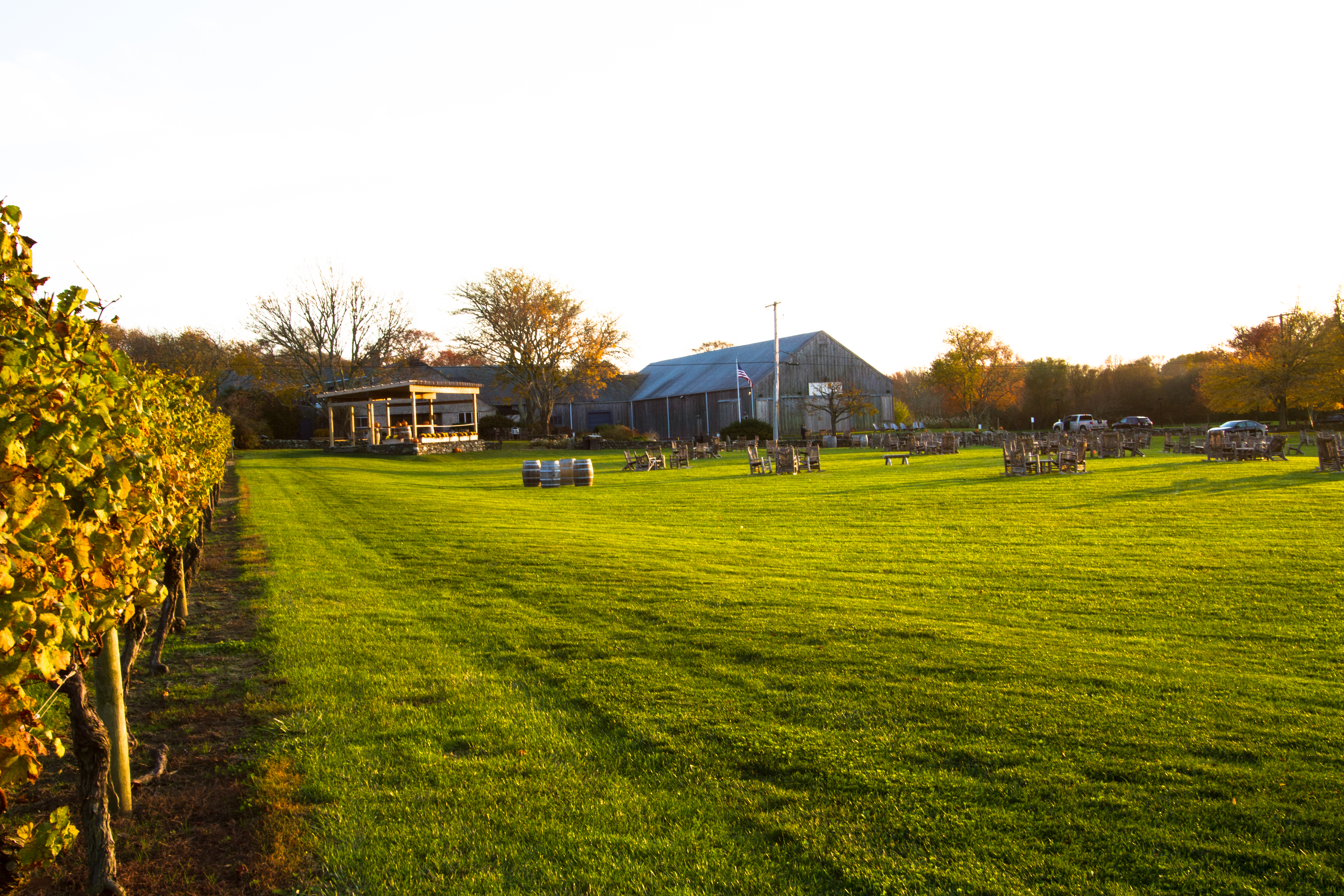 Vineyard and lawn in front of Carolyn's Sakonnet Vineyard