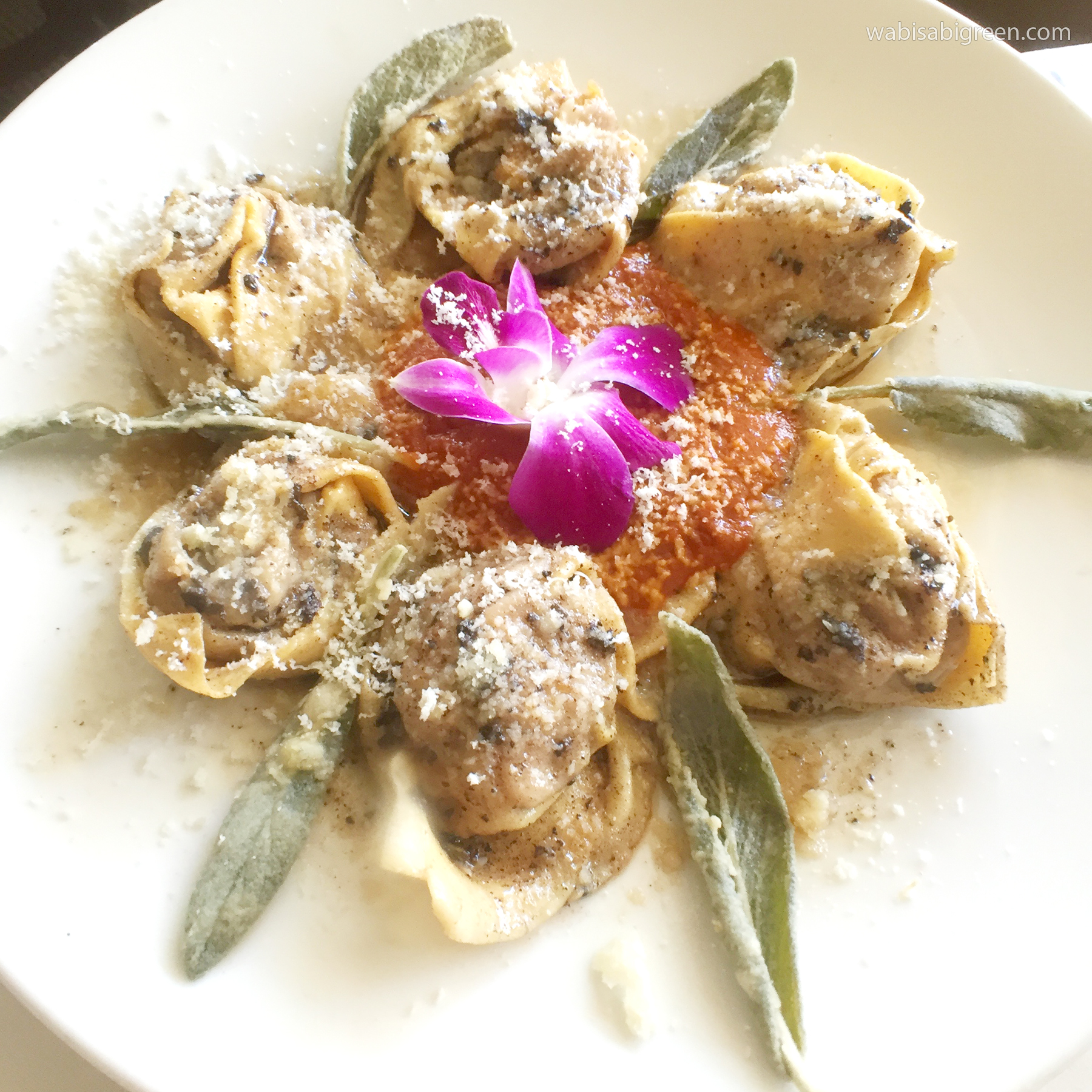 Vigiluccis Cappellacci di Zucca - Top Ten Carlsbad Restaurants
