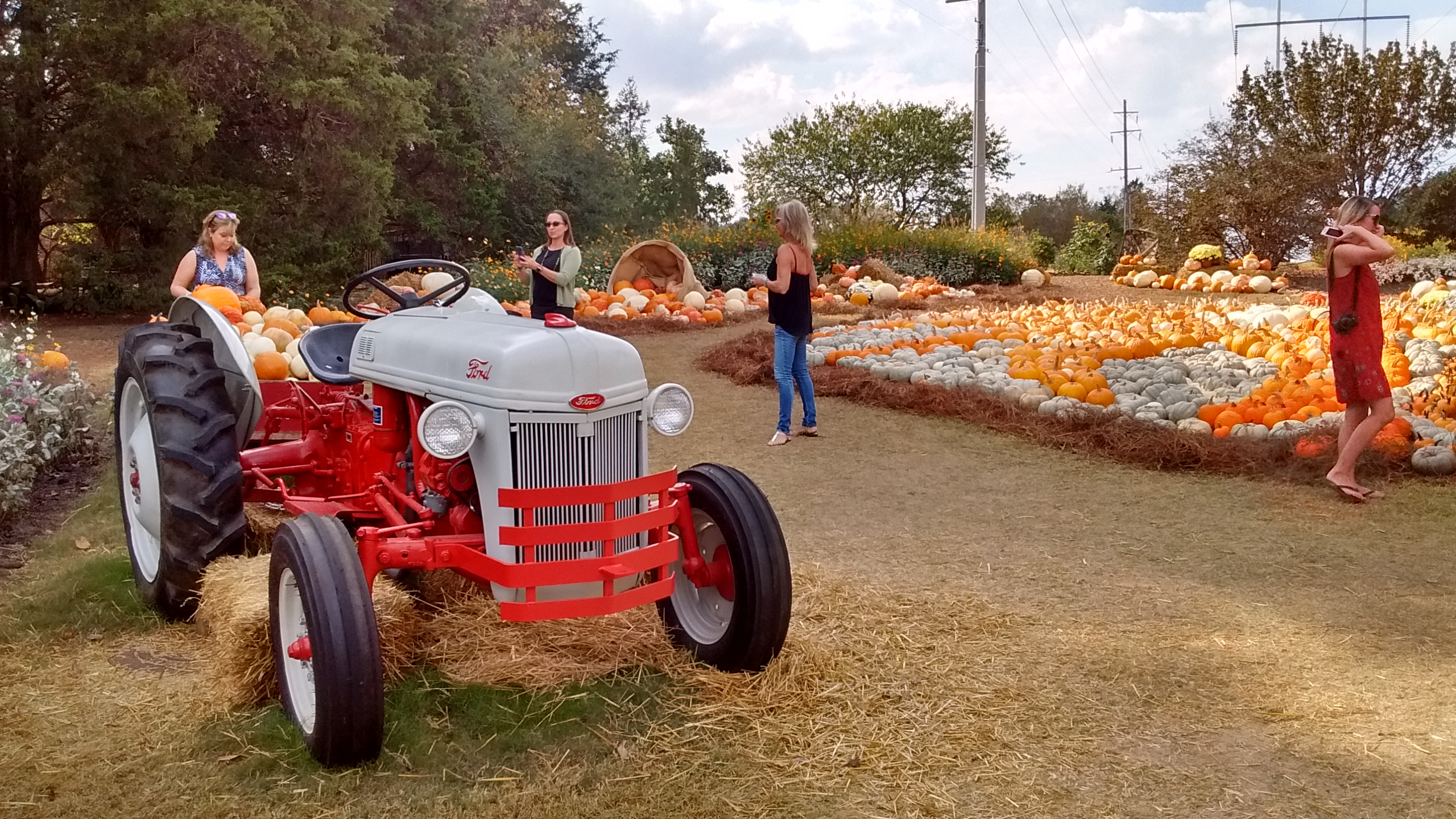 Huntsville Botanical Gardens Pumpkin Patch