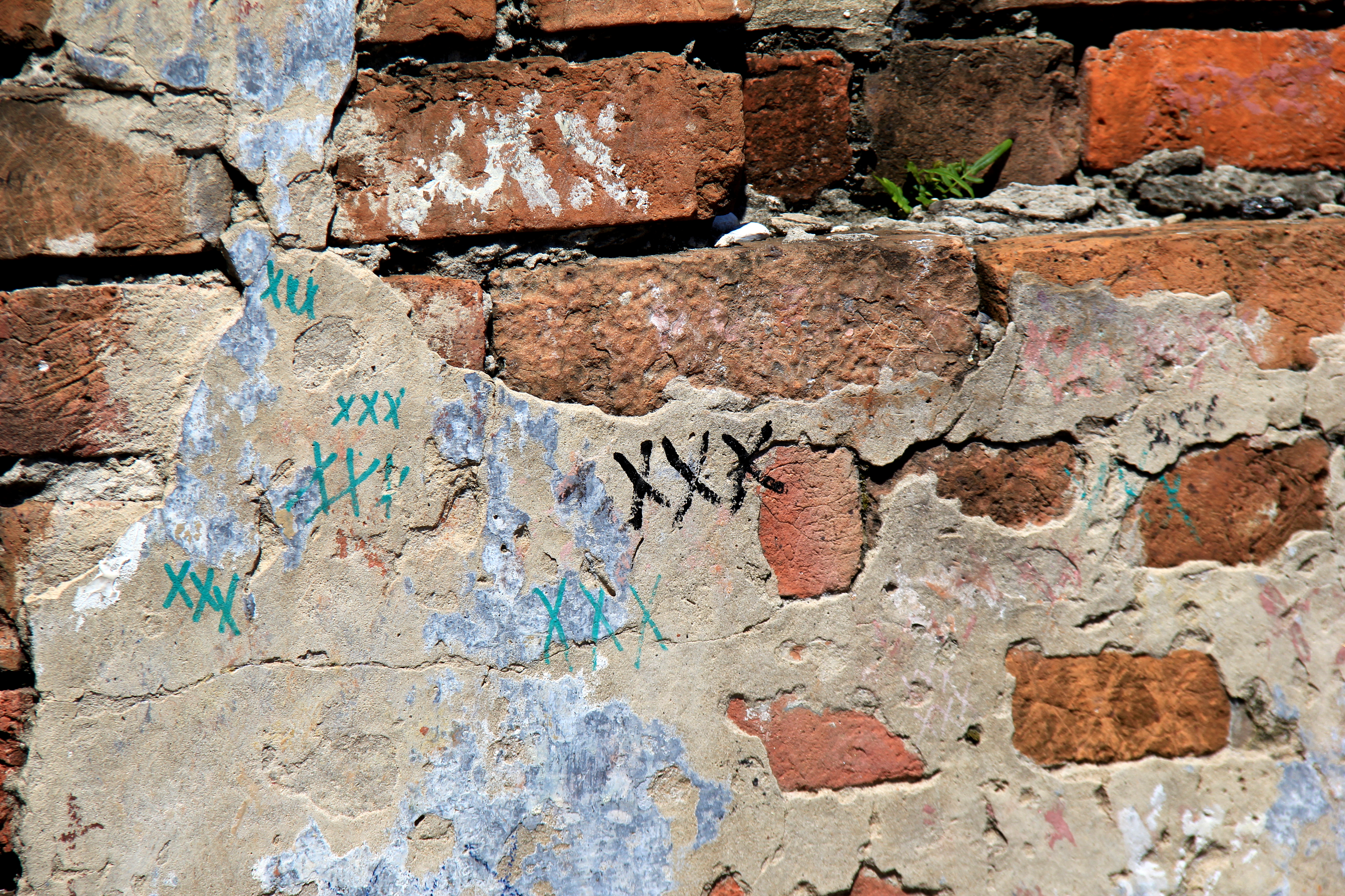 New Orleans St. Louis Cemetery 1