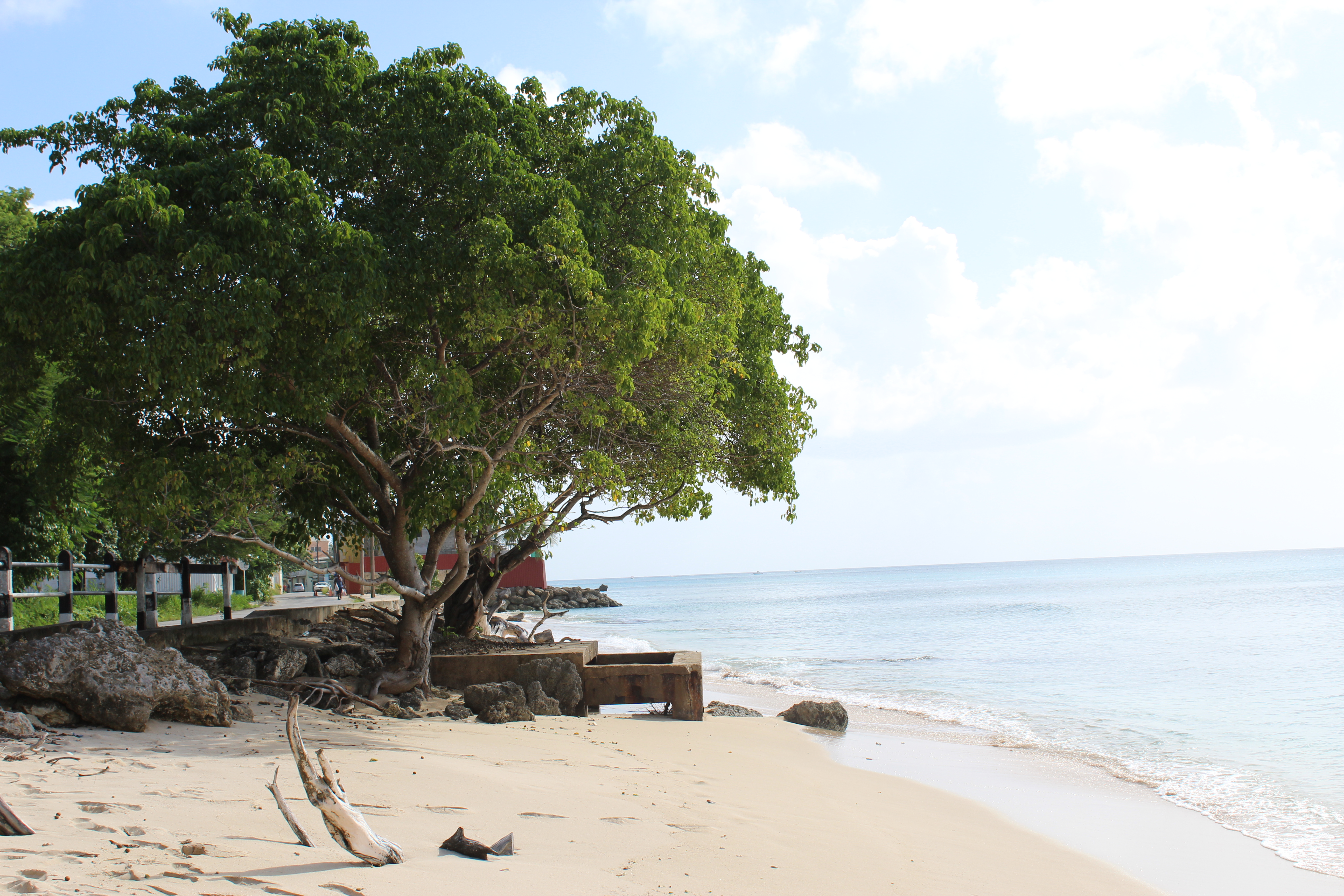 Beach Bridgetown Barbados