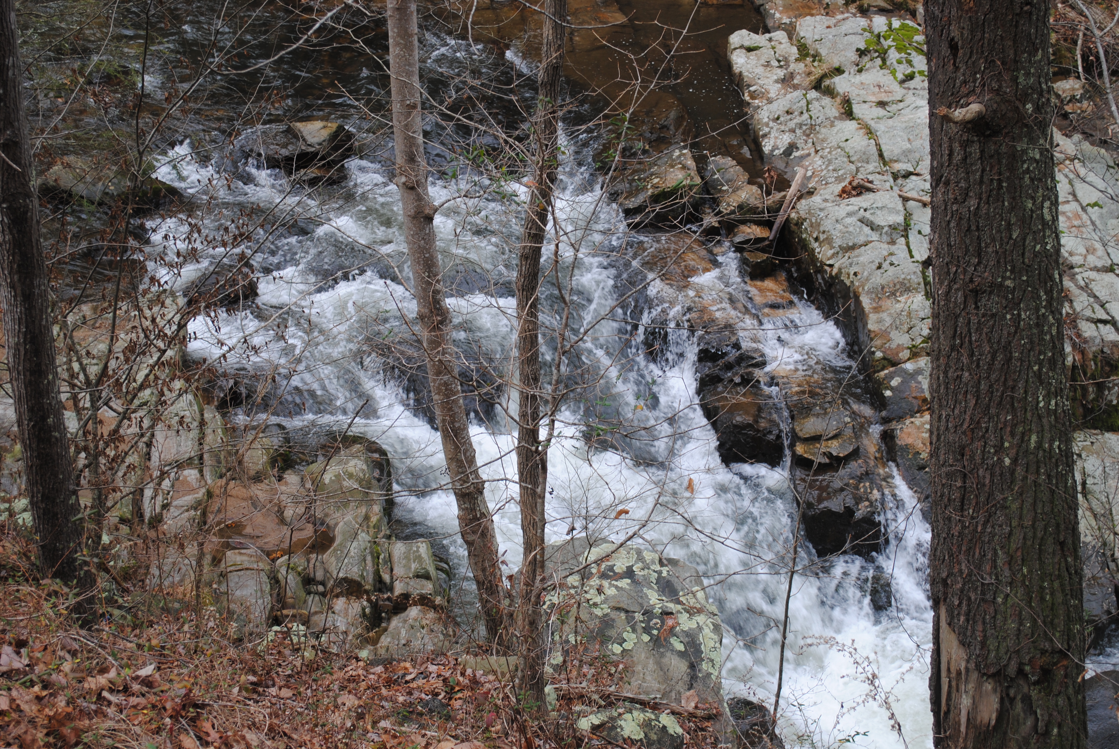 Hot Springs Hiking