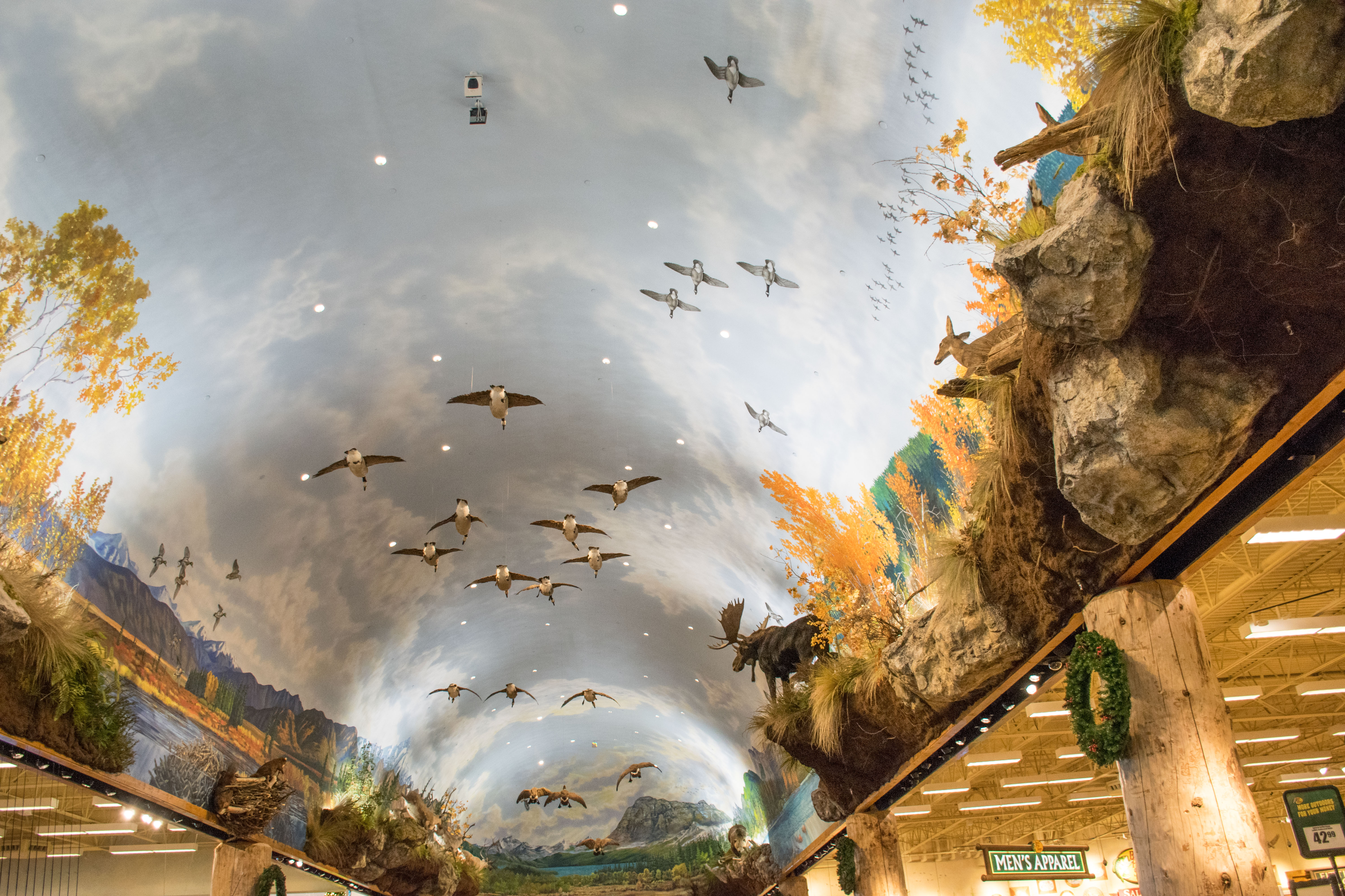 Ducks in Flight Bass Pro Store BC