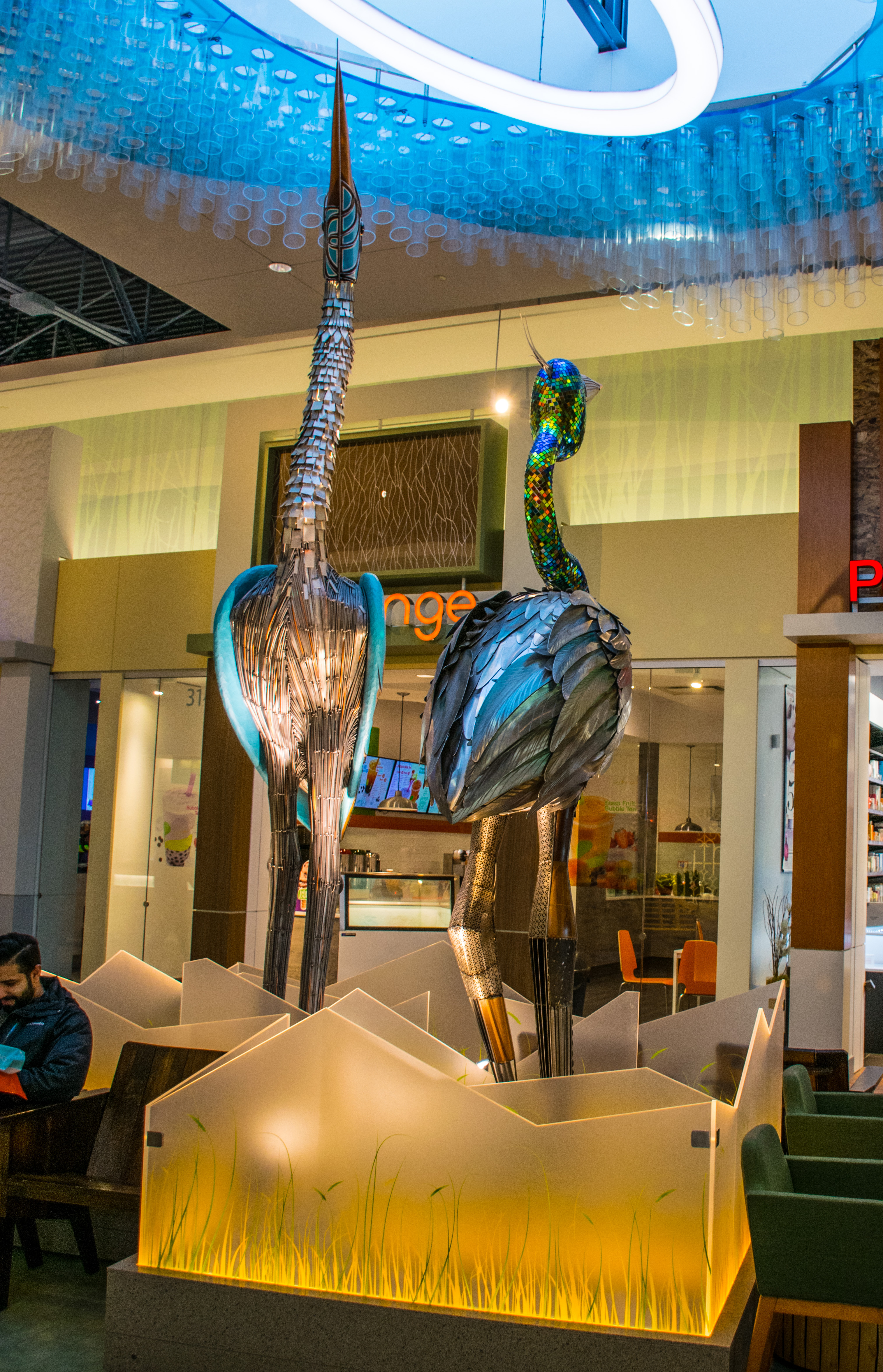 Great Blue Herons Tsawwassen Mills