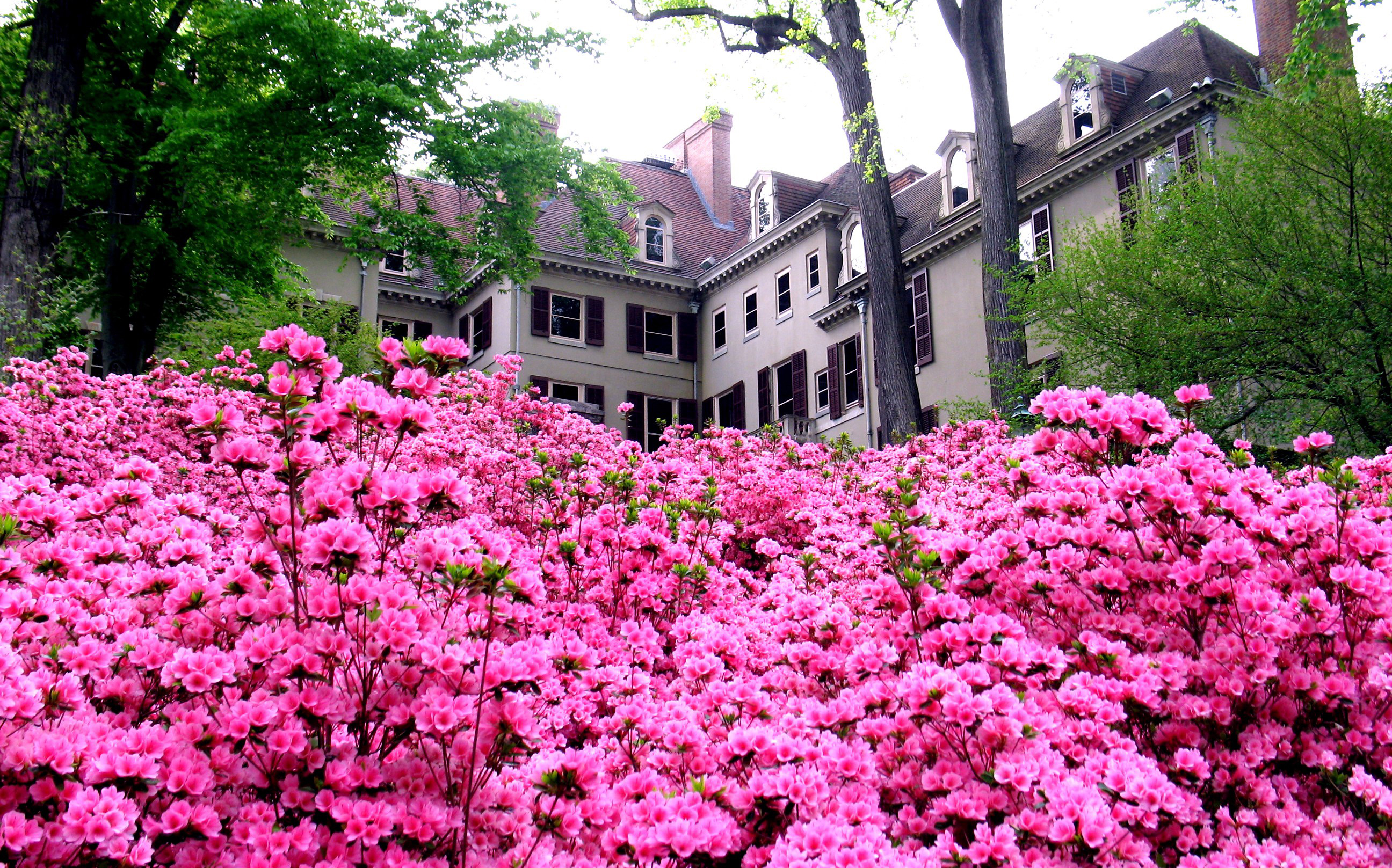 Fairy Mist, Blossoms and Brass - Winterthur Museum