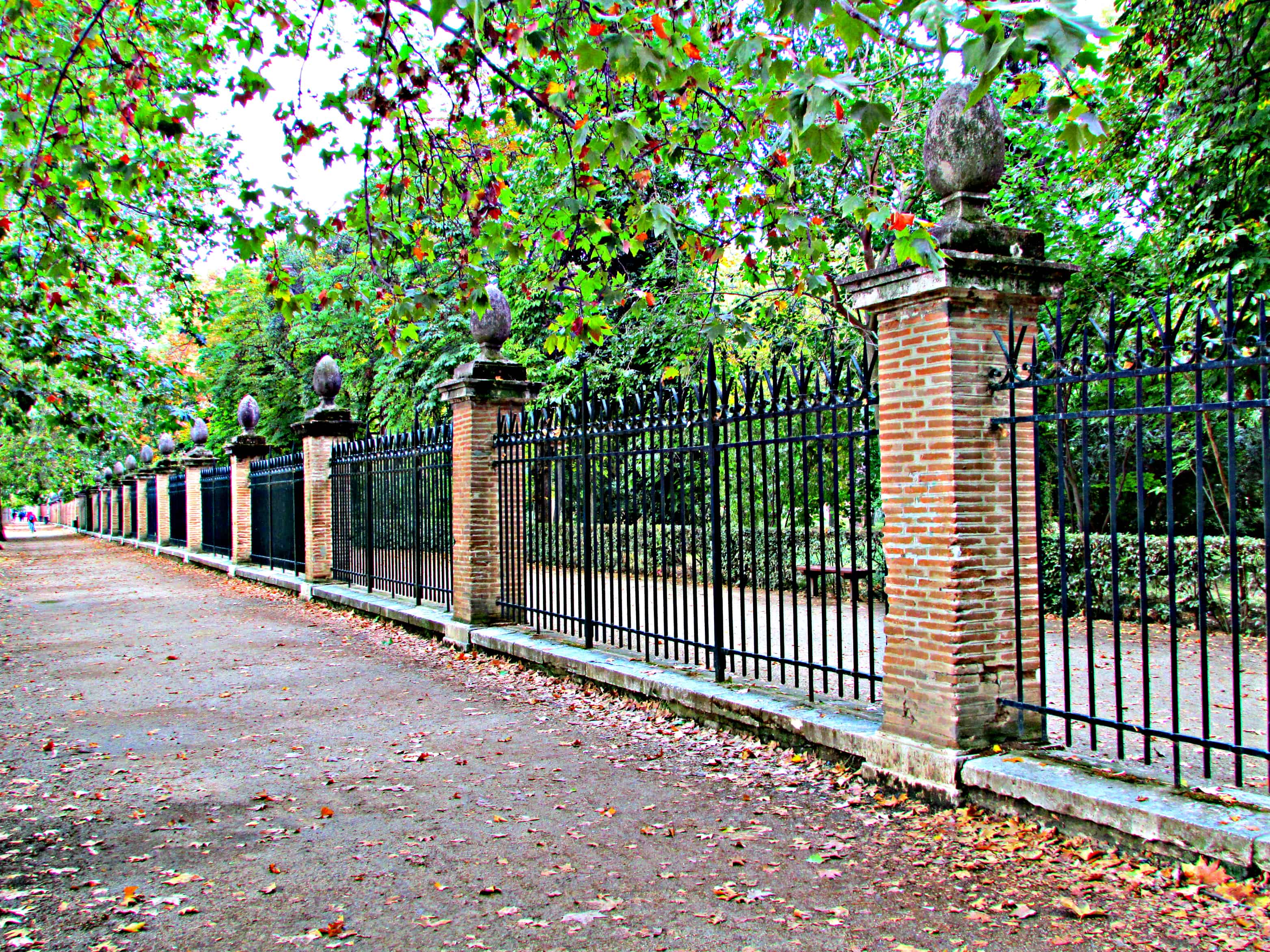 Approaching Princes Garden Aranjuez