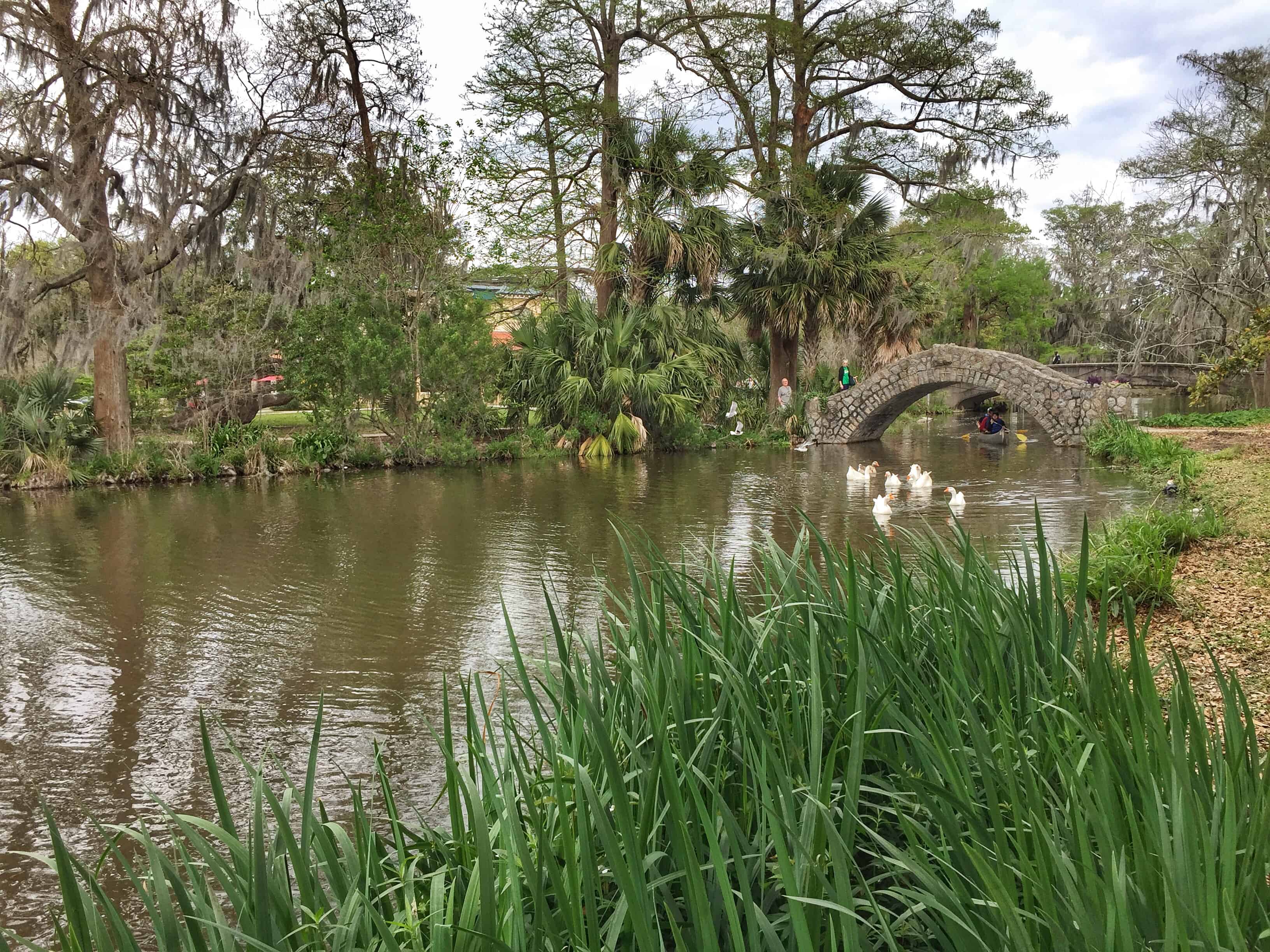City Park Stream New Orleans