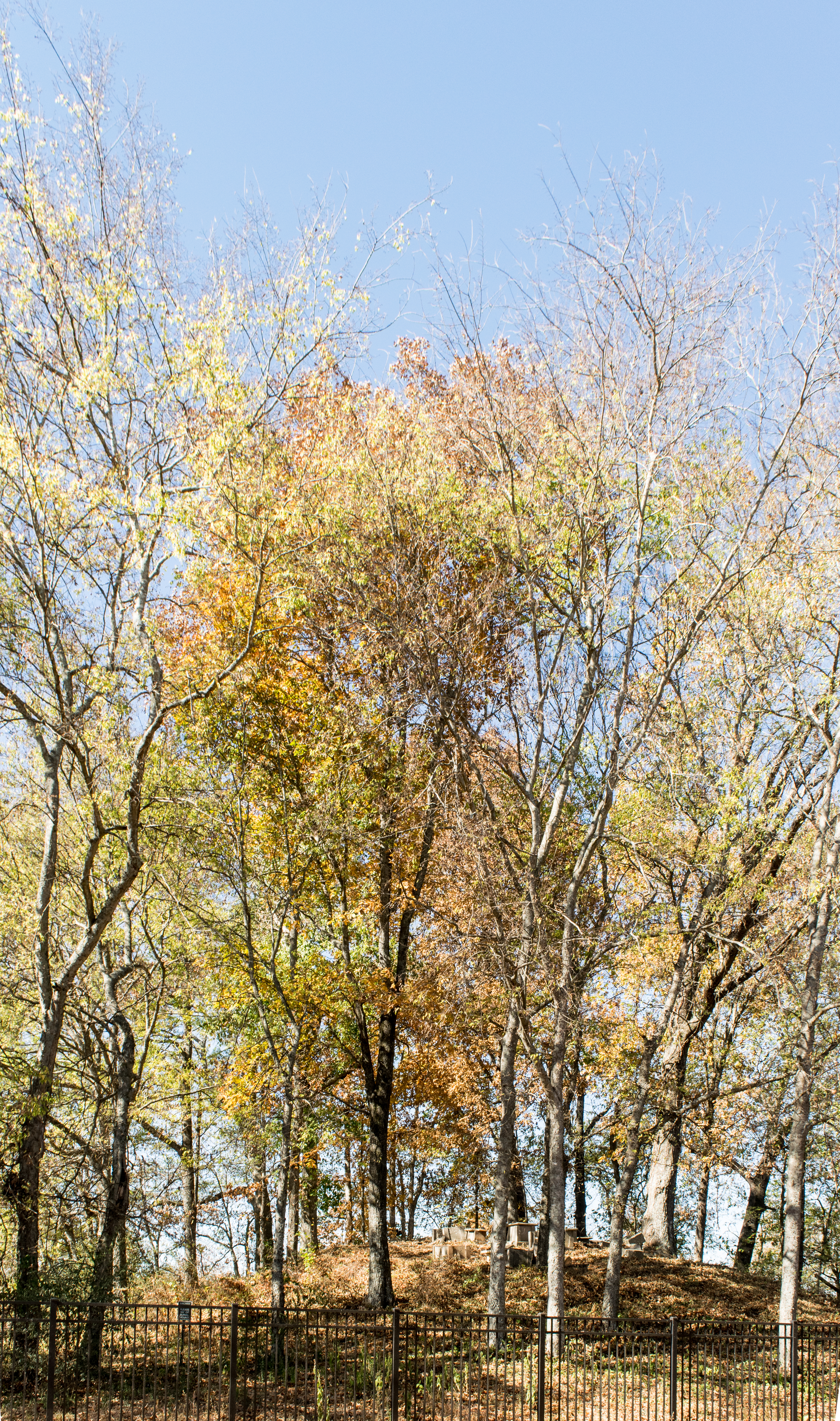 Copena Burial Mound Oakville Indian Mounds Park
