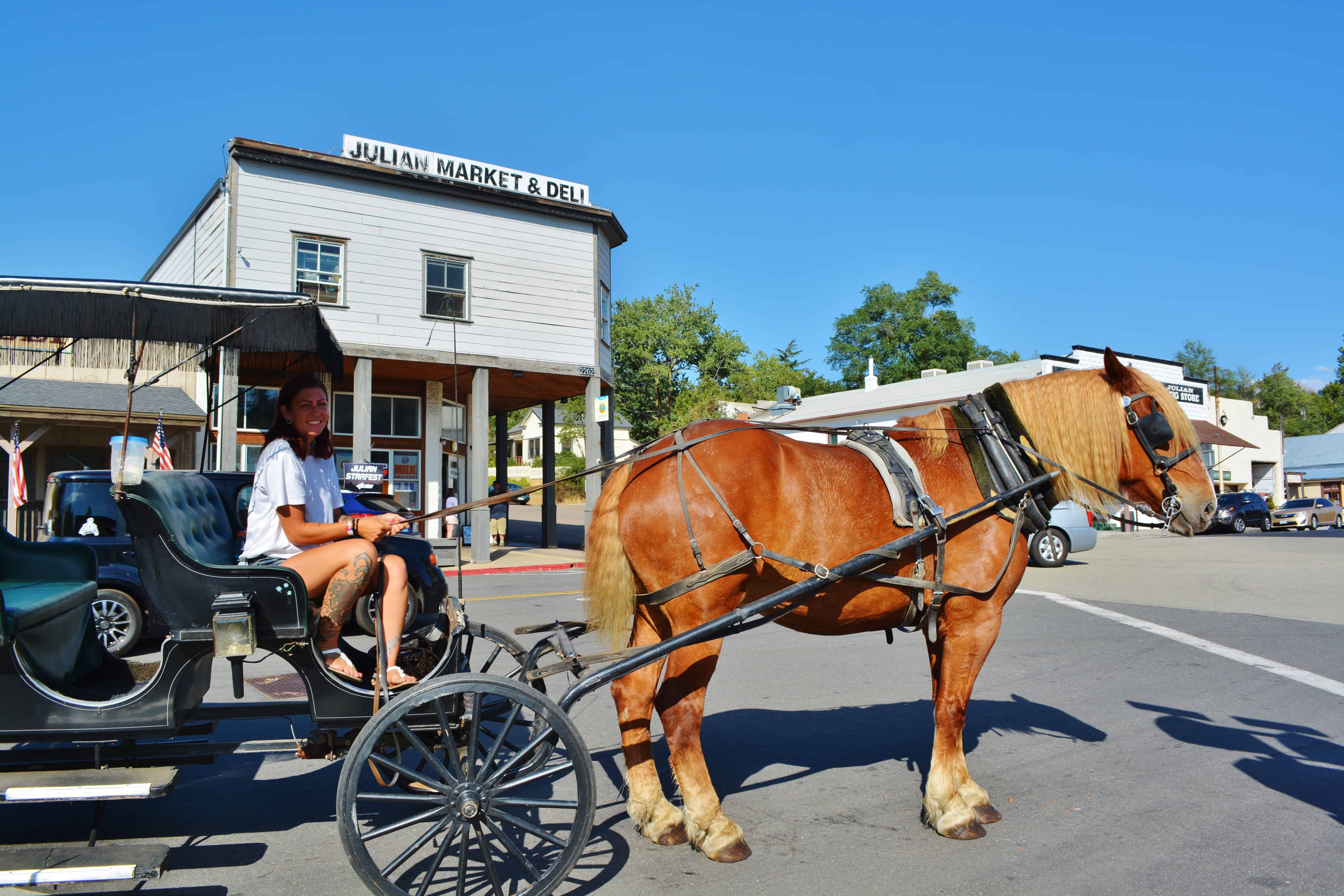 Guided Surrey Ride Julian California