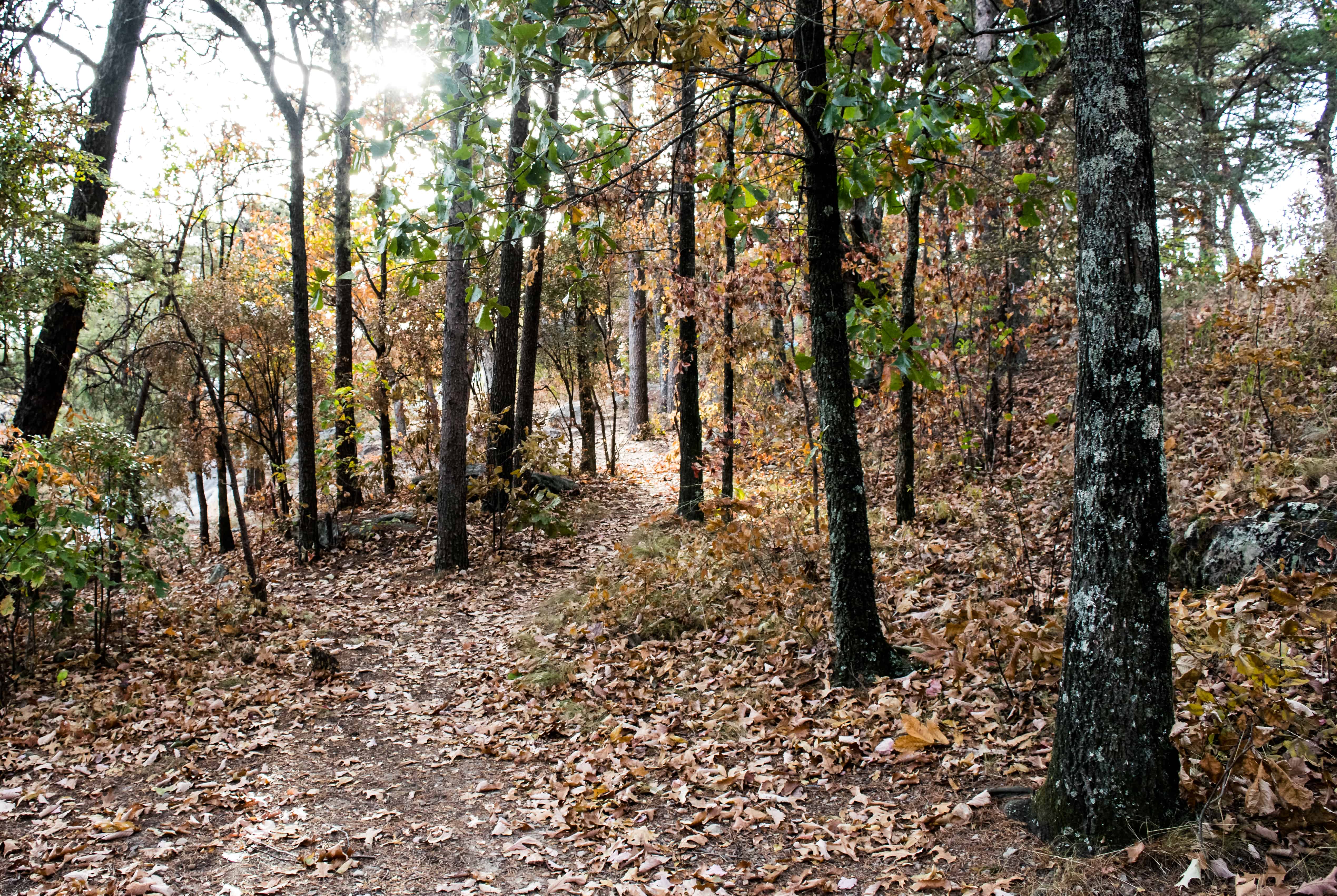 Hiking on forested trail Cherokee Rock Village