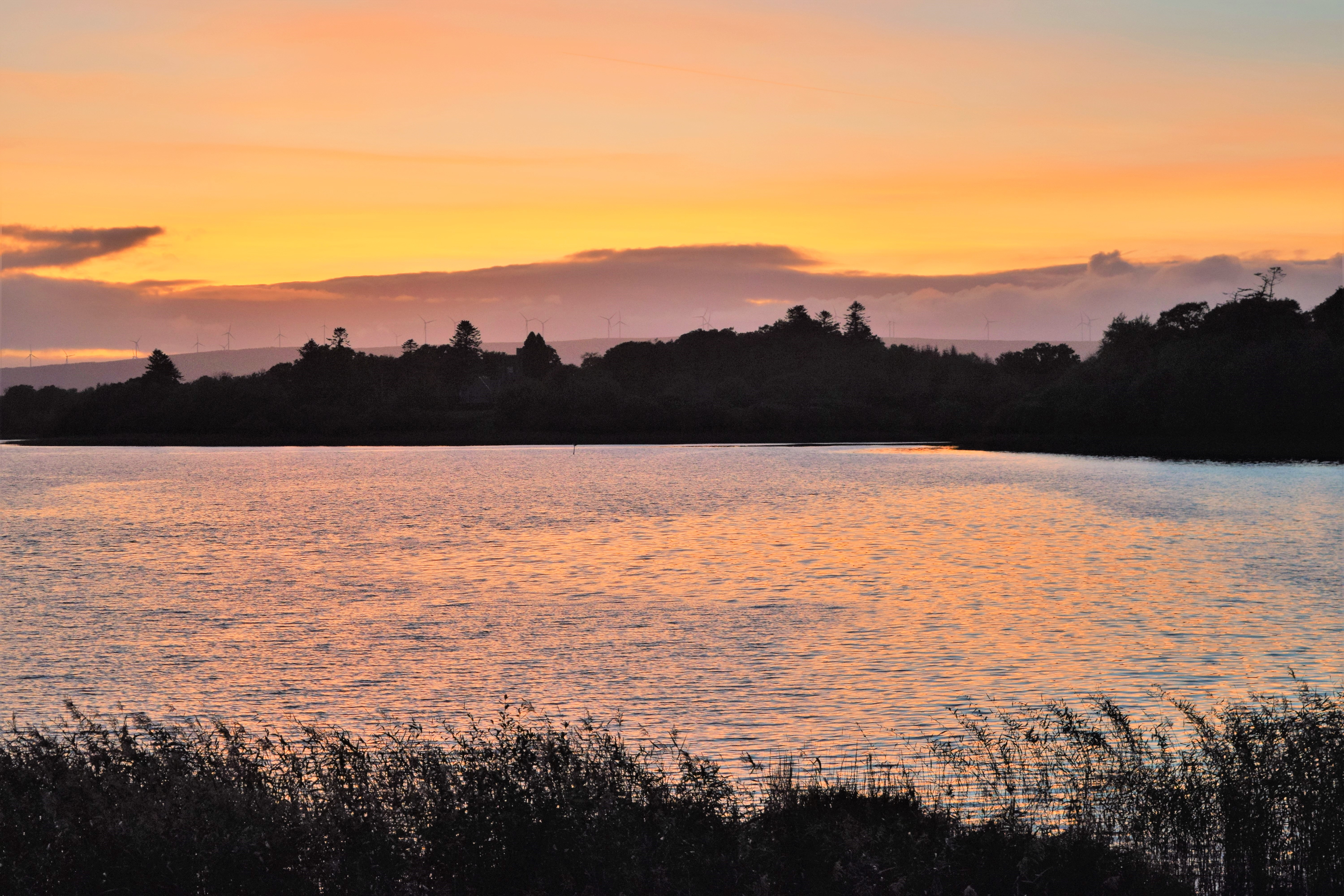 Tranquility of sunset and wind farm visible in the distance at Crom Estate