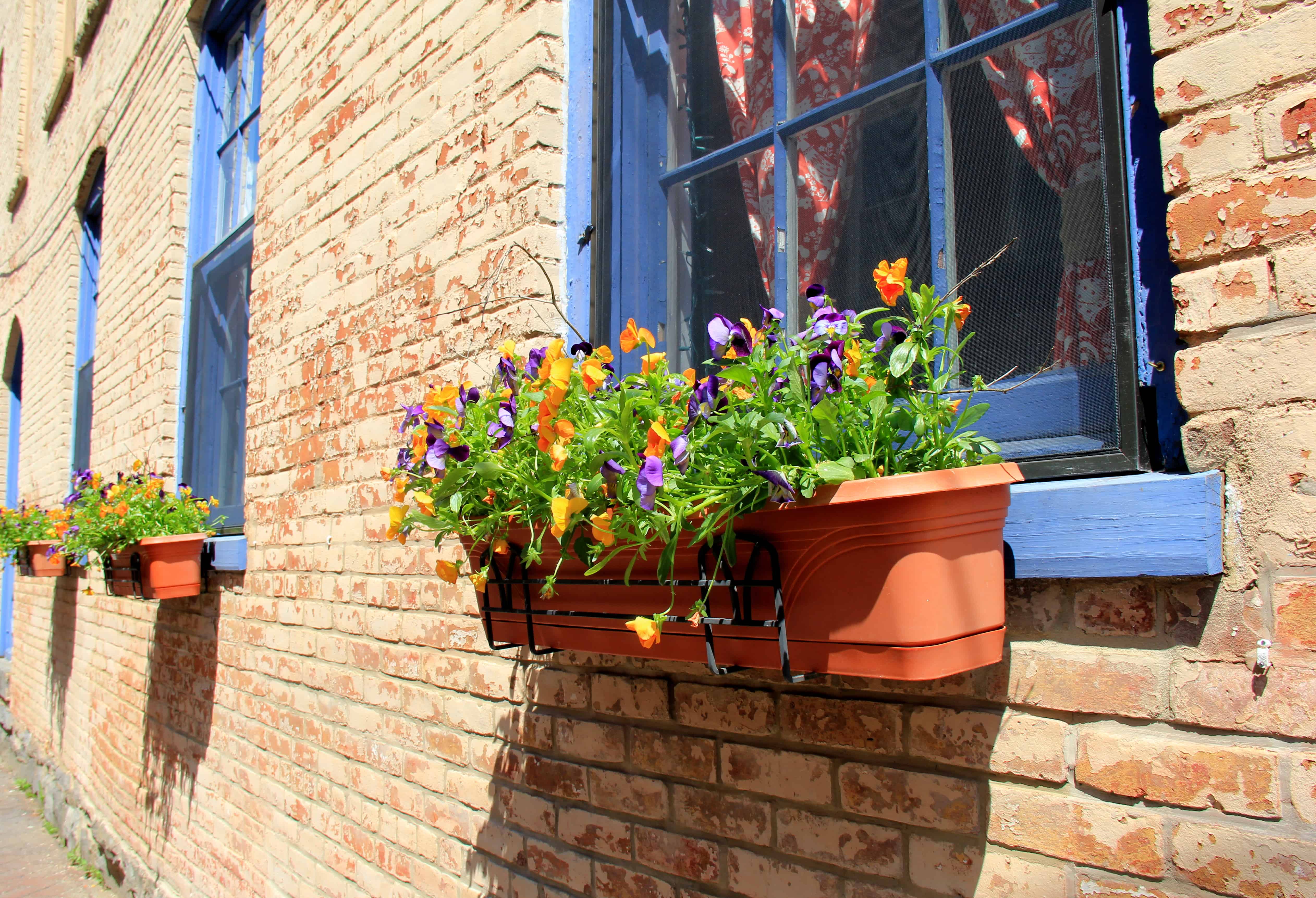 Window Boxes Hattie's(c) Restaurant