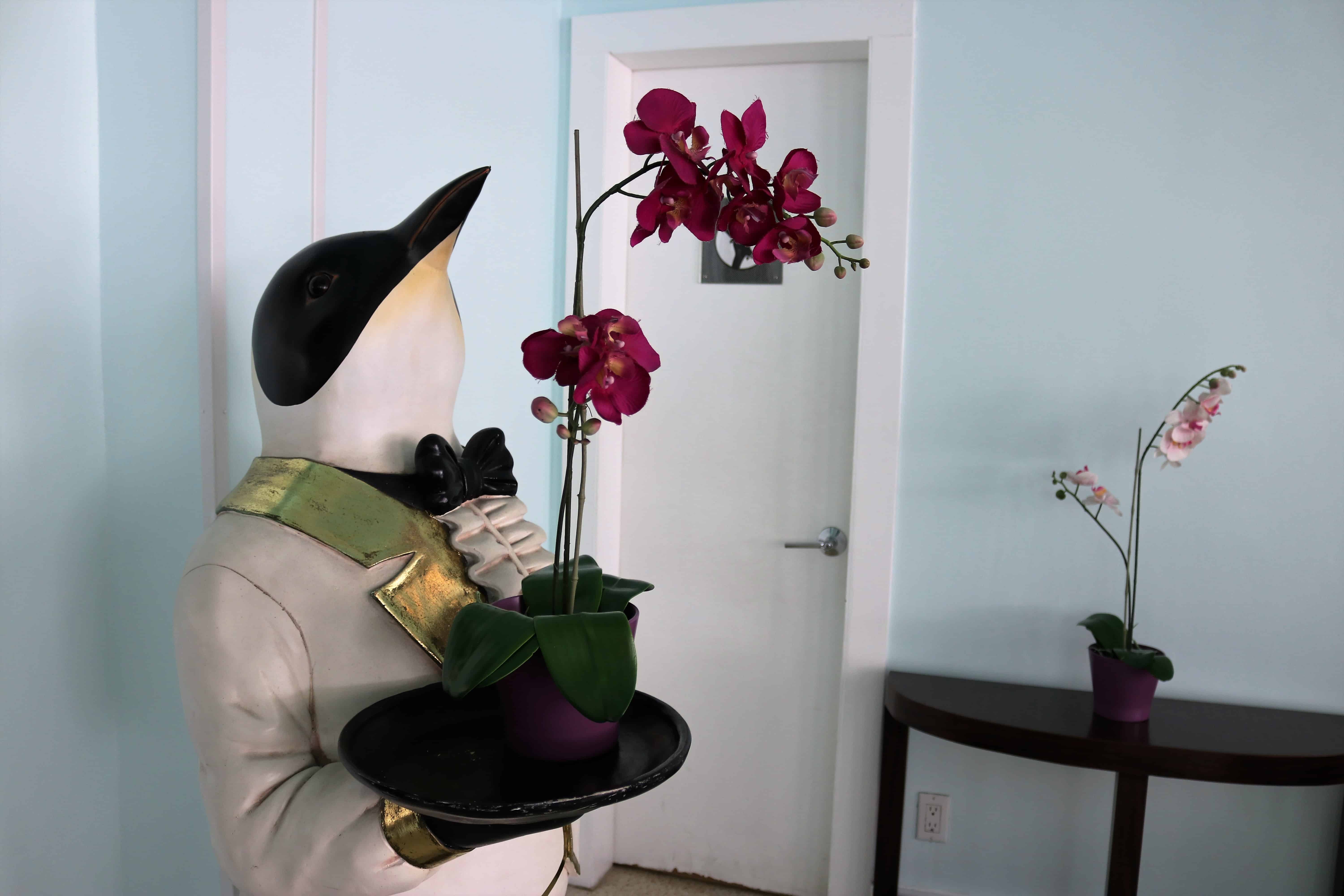 Penguin Hotel Lobby