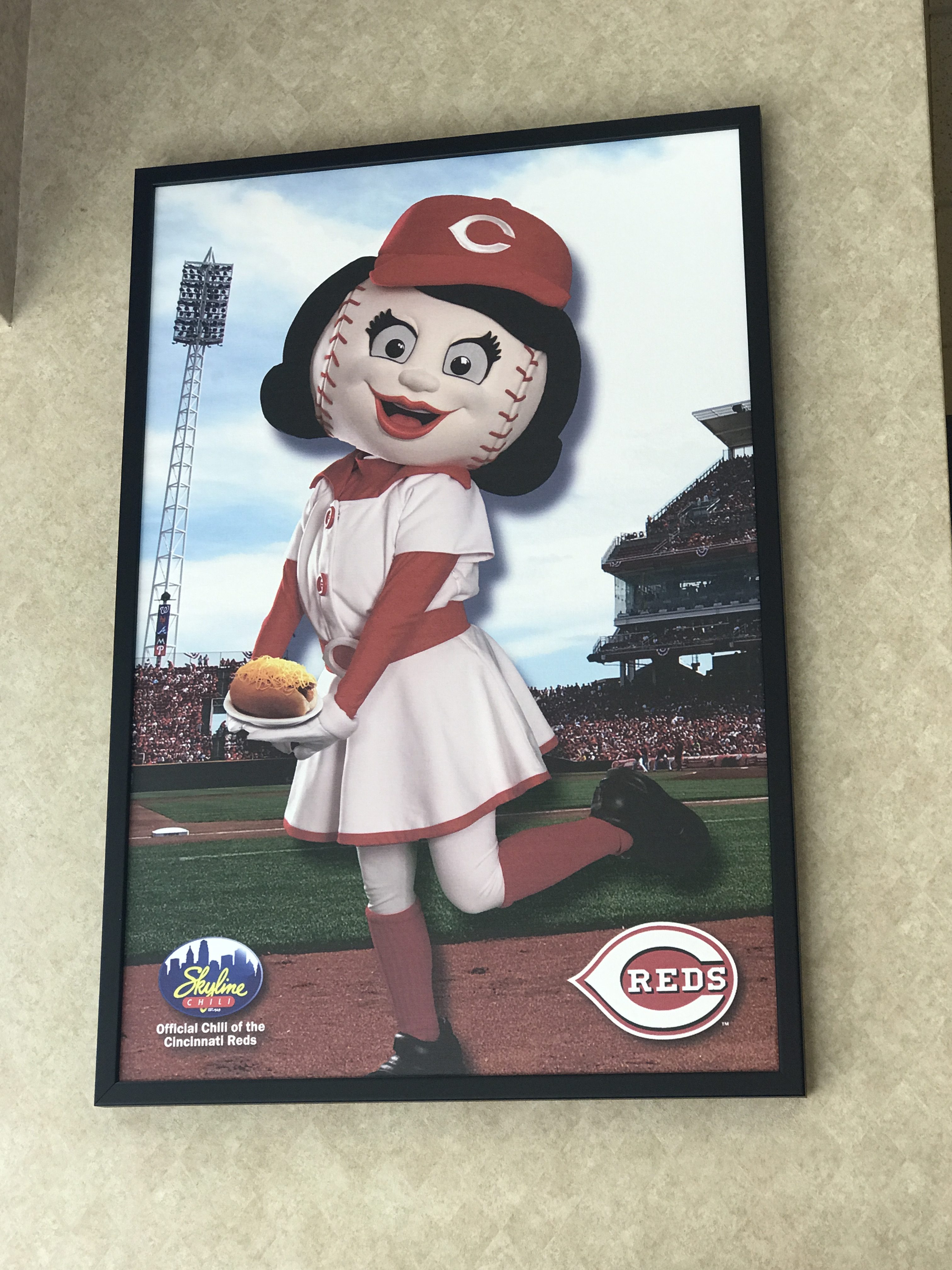 Skyline Chili Official Chili of the Cincinnati Reds