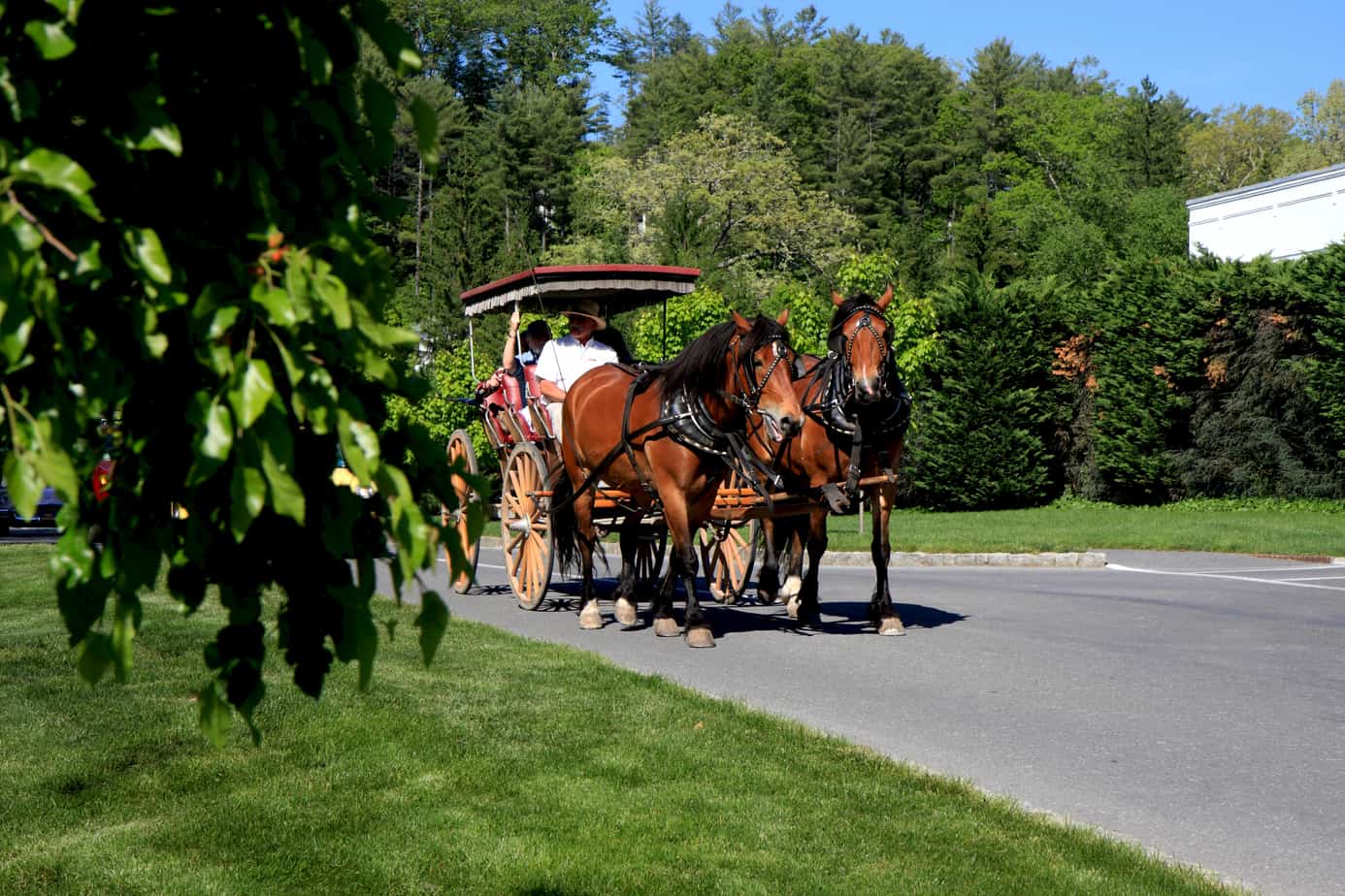 Carriage ride at The Greenbrier