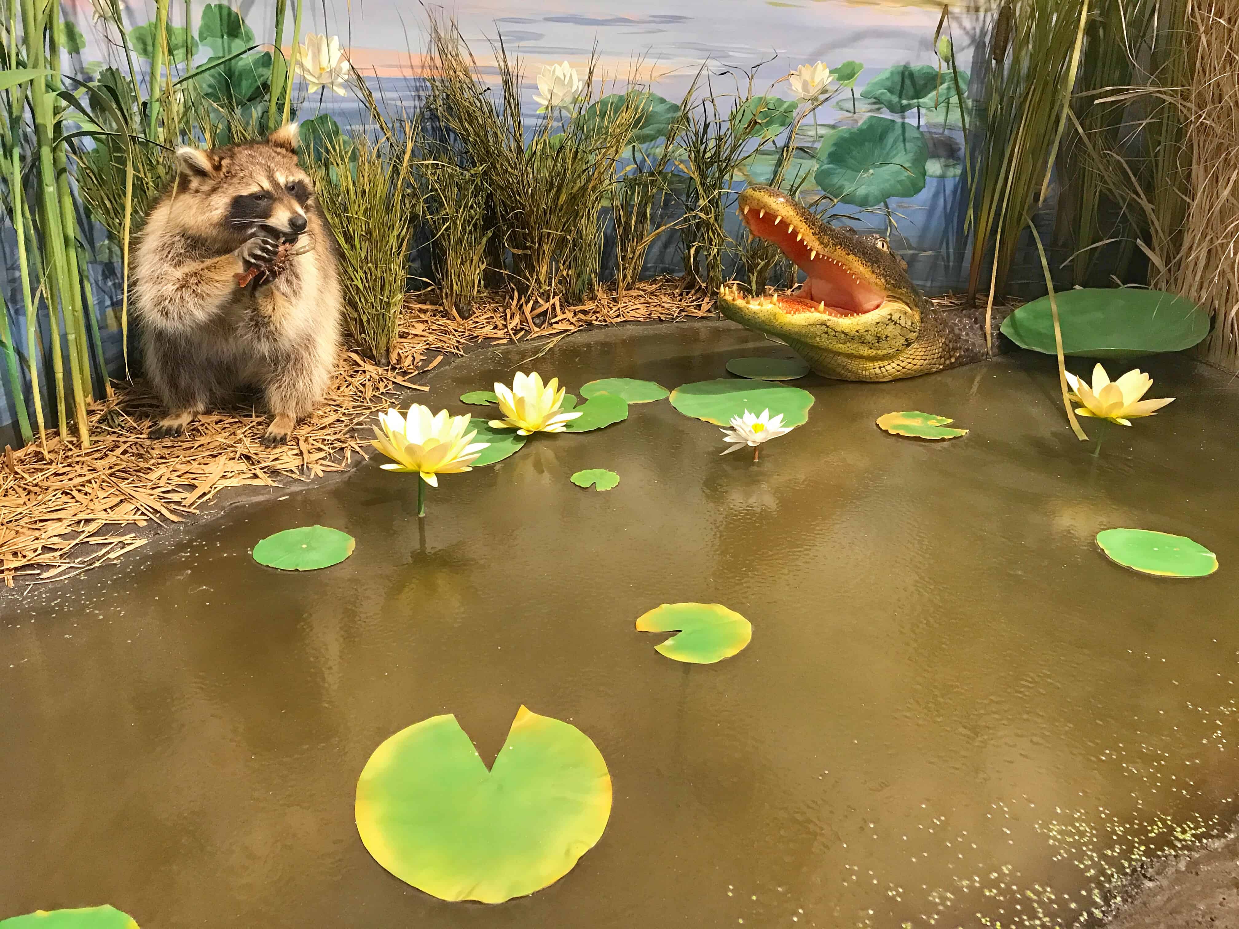 Exhibit at Adventure Point Sulphur LA