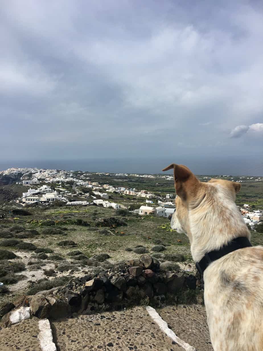 Buddies Enjoying Views